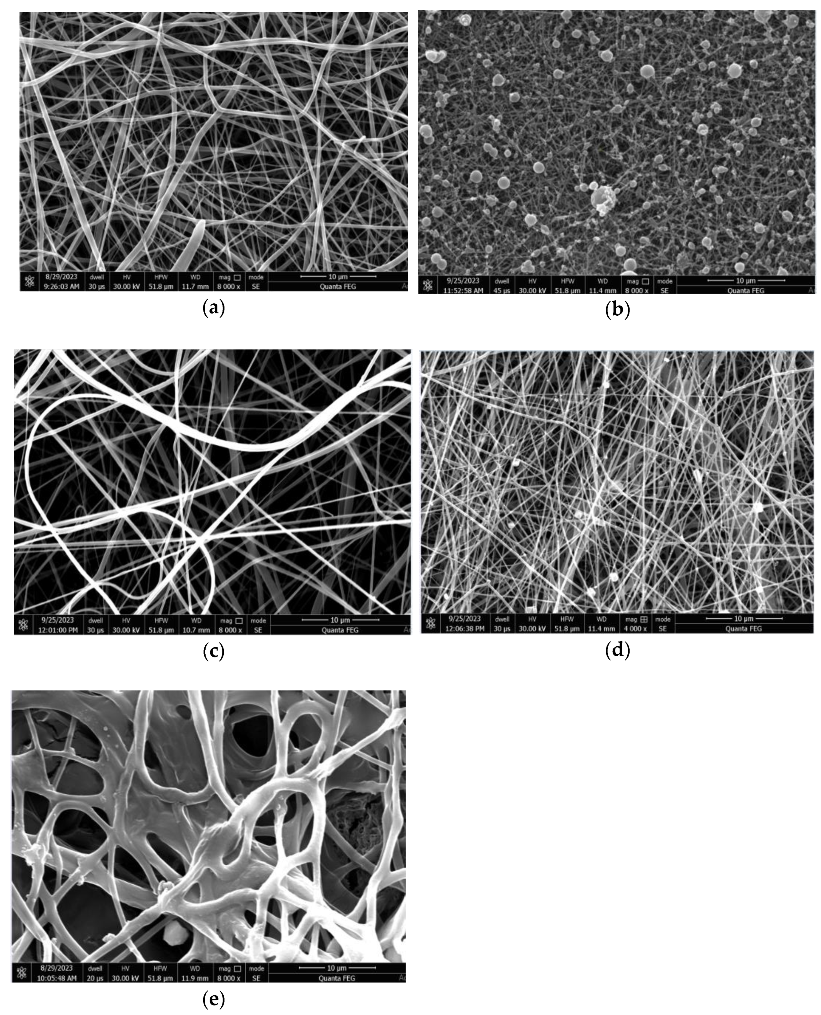 Fibers 11 00087 g002