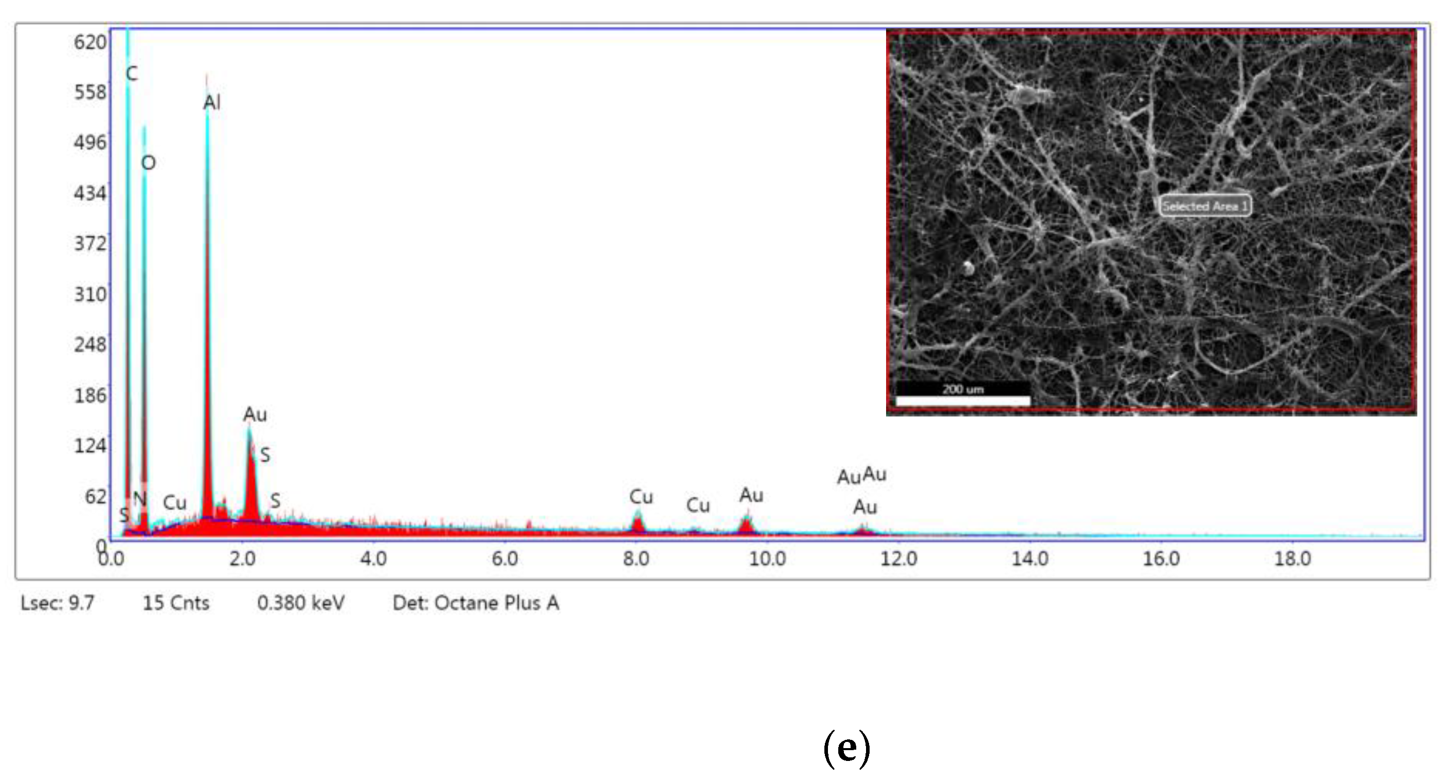 Fibers 11 00087 g003b