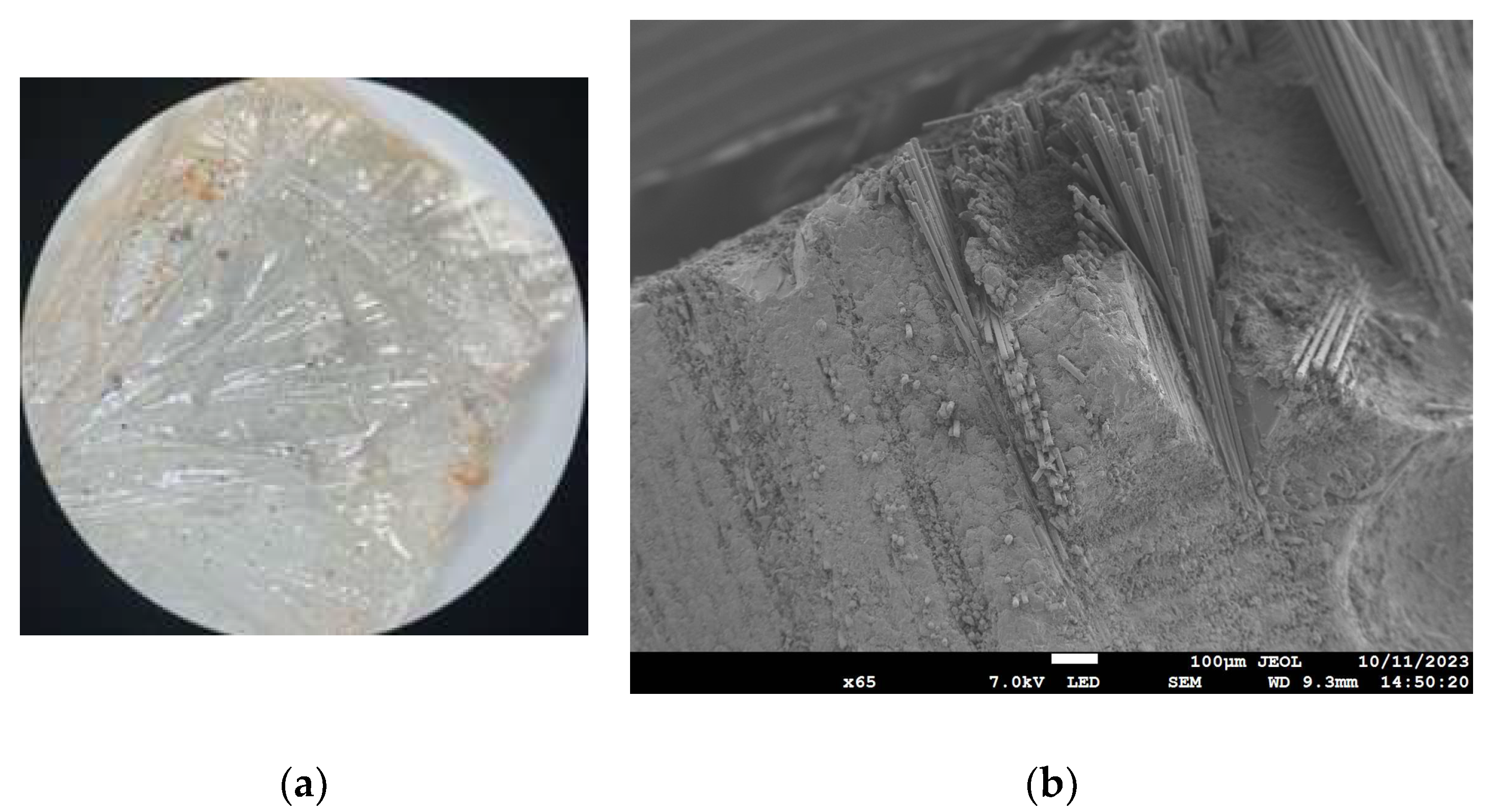 Fibers 11 00099 g005