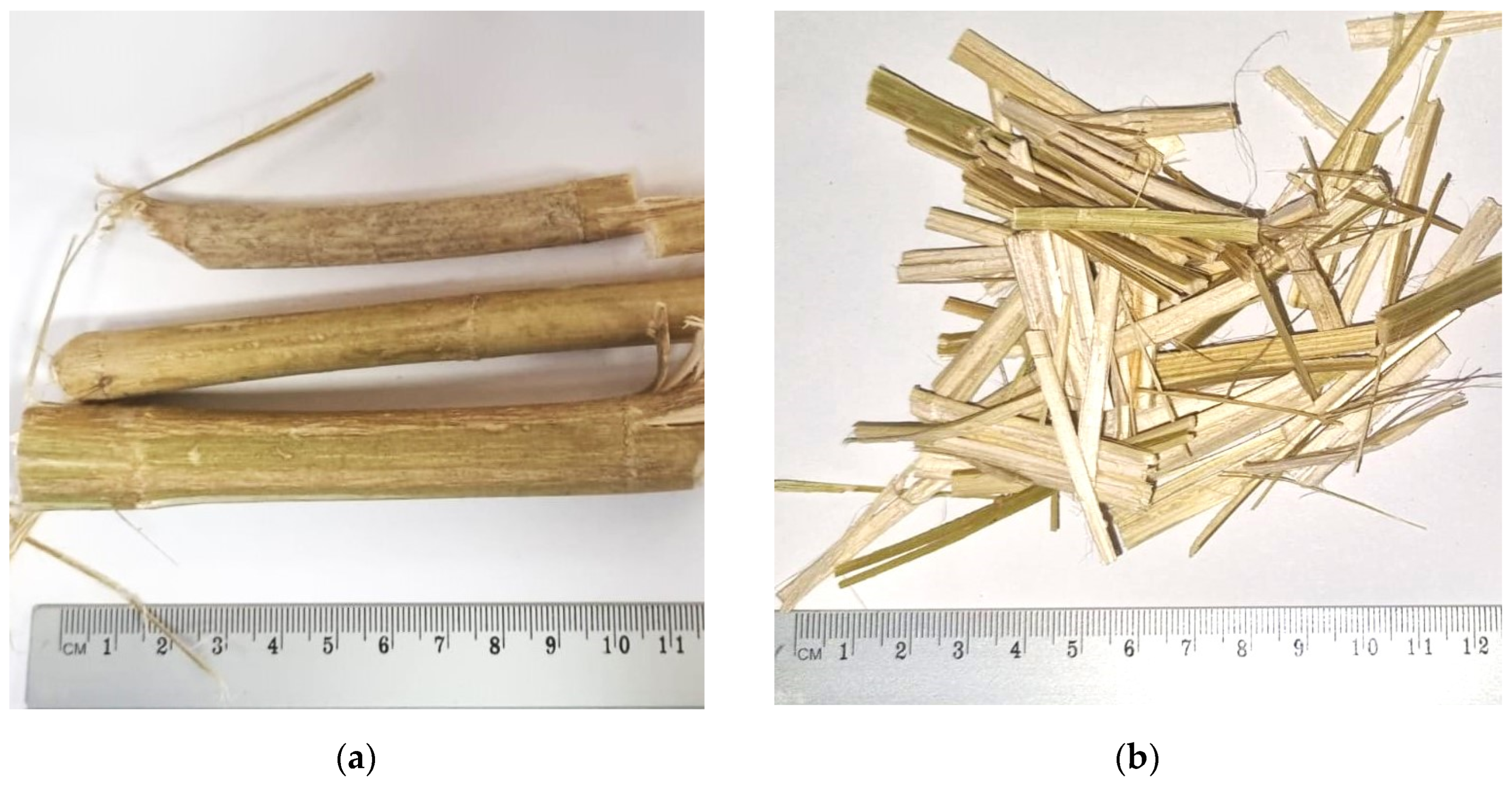 Fibers 11 00101 g001a