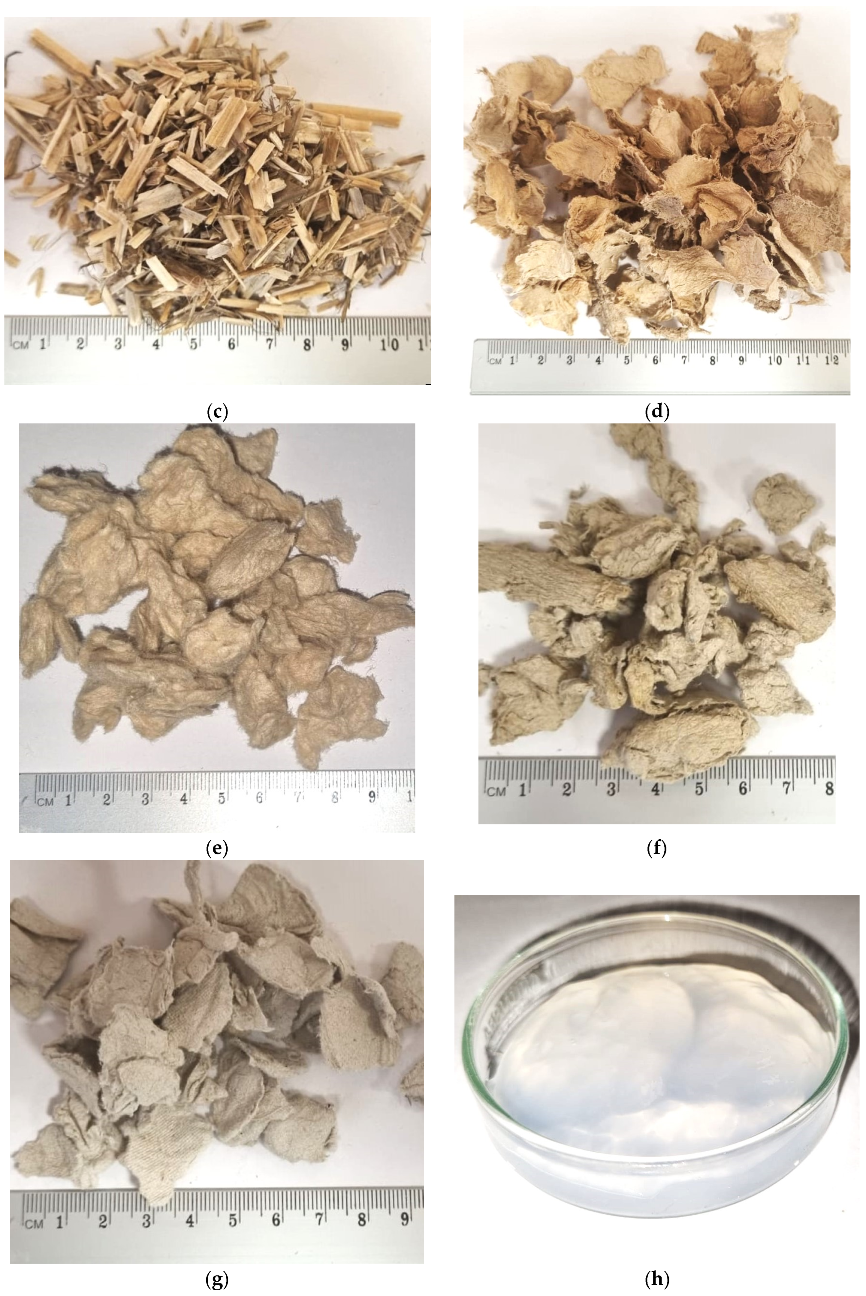 Fibers 11 00101 g001b