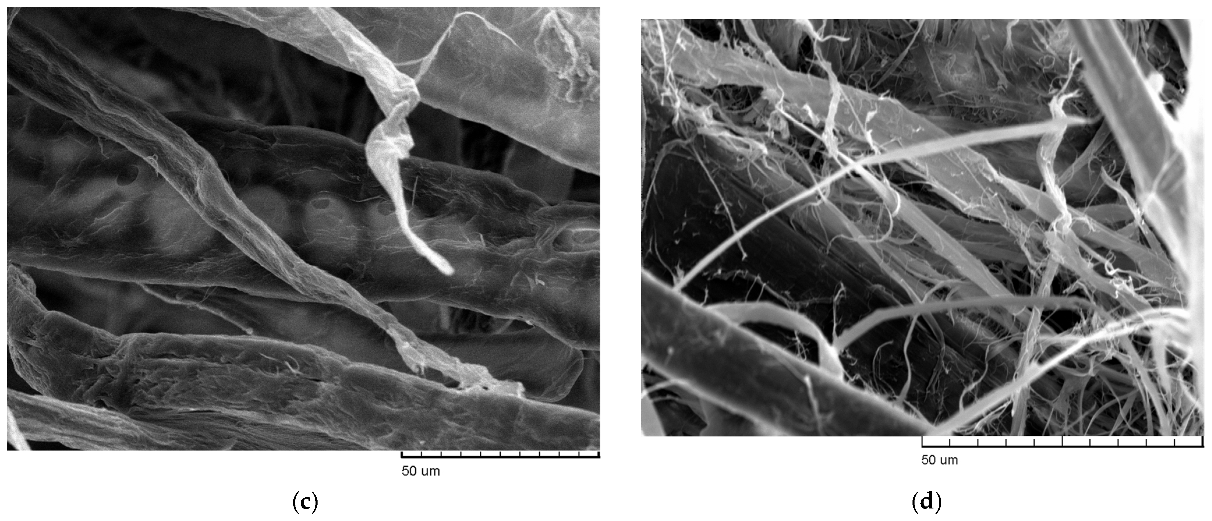 Fibers 11 00101 g002b