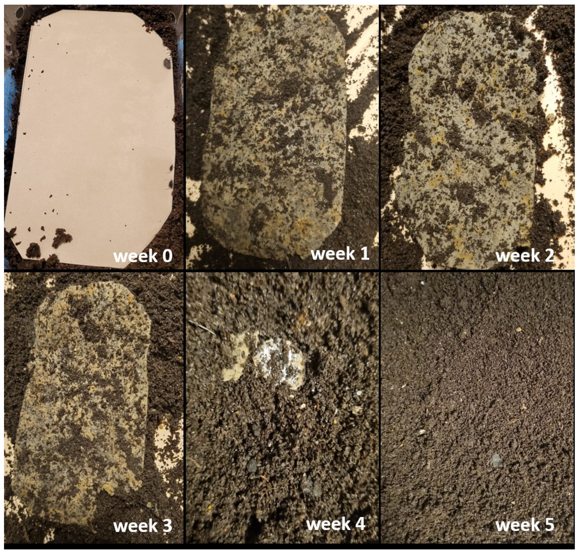 Fibers 11 00101 g011