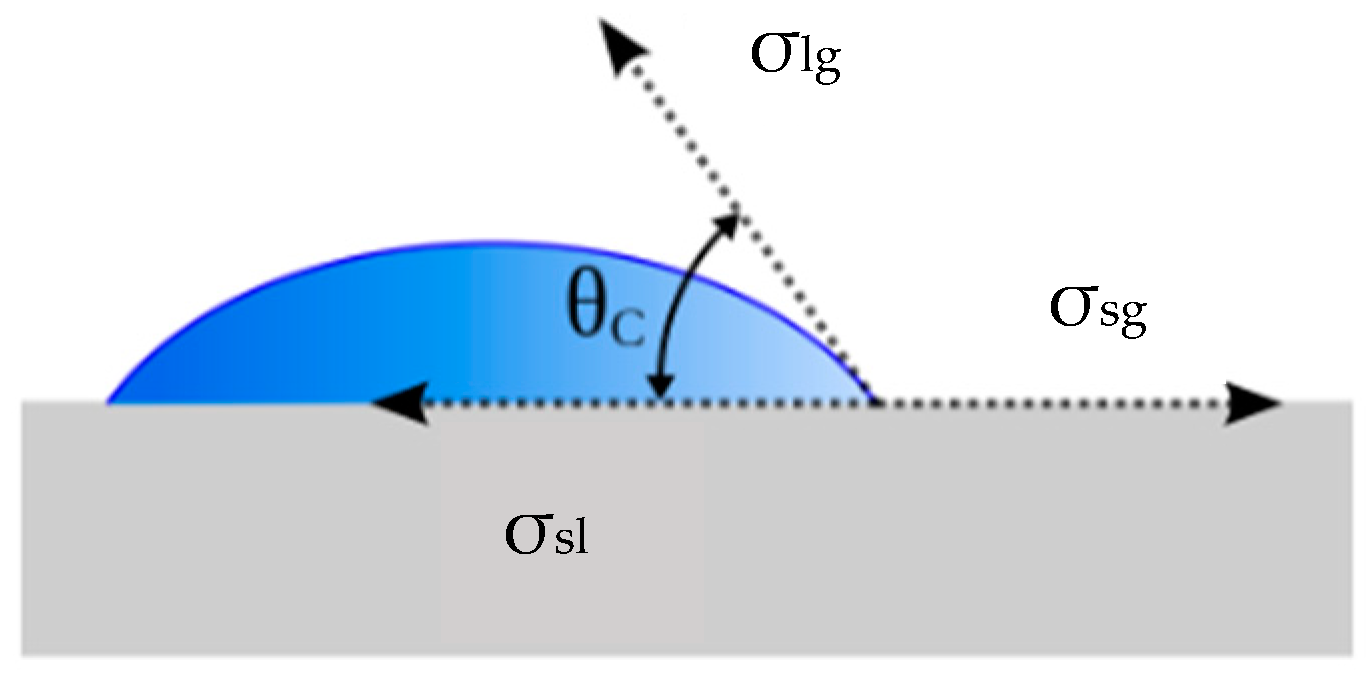 Fibers 11 00102 g001