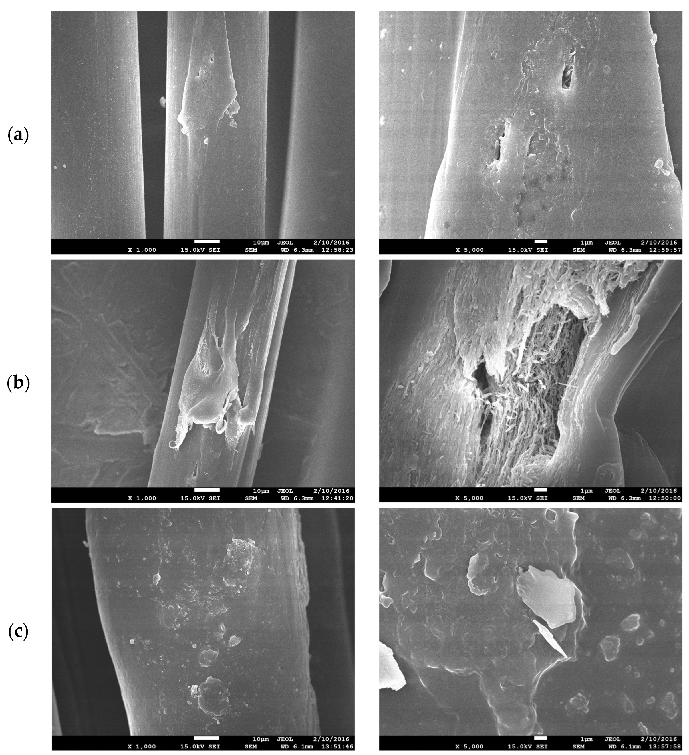 Fibers 11 00102 g004