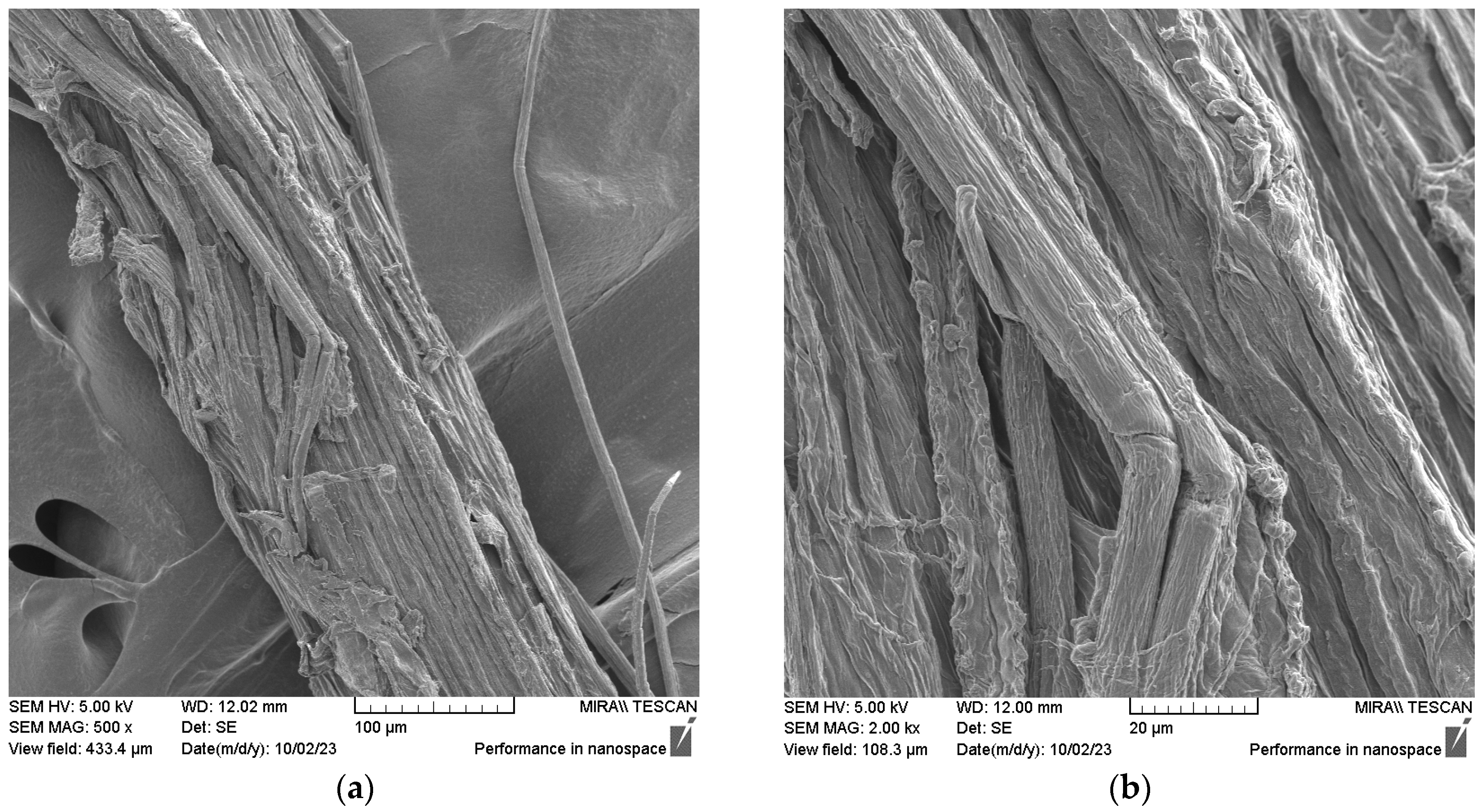 Fibers 11 00108 g006