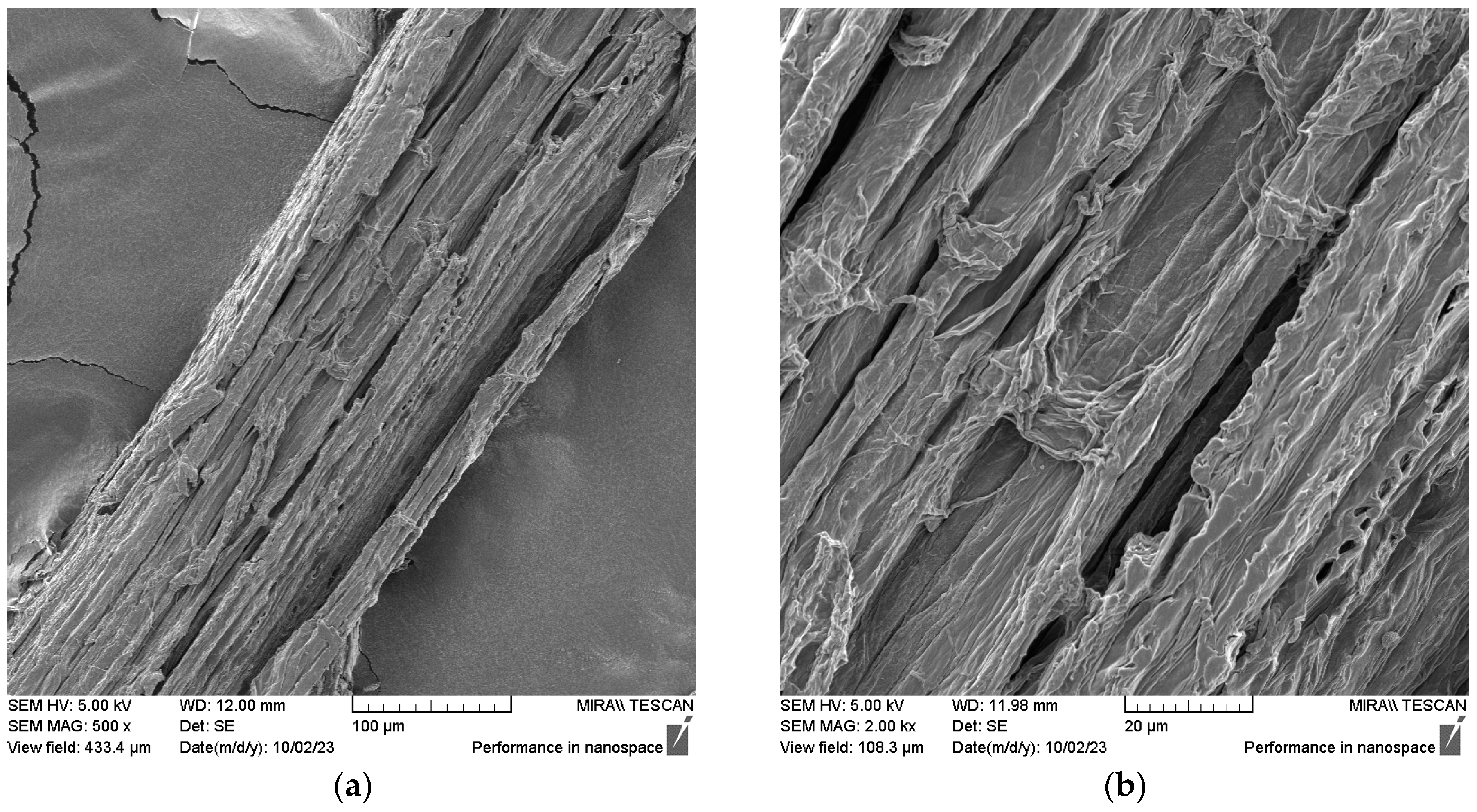 Fibers 11 00108 g007