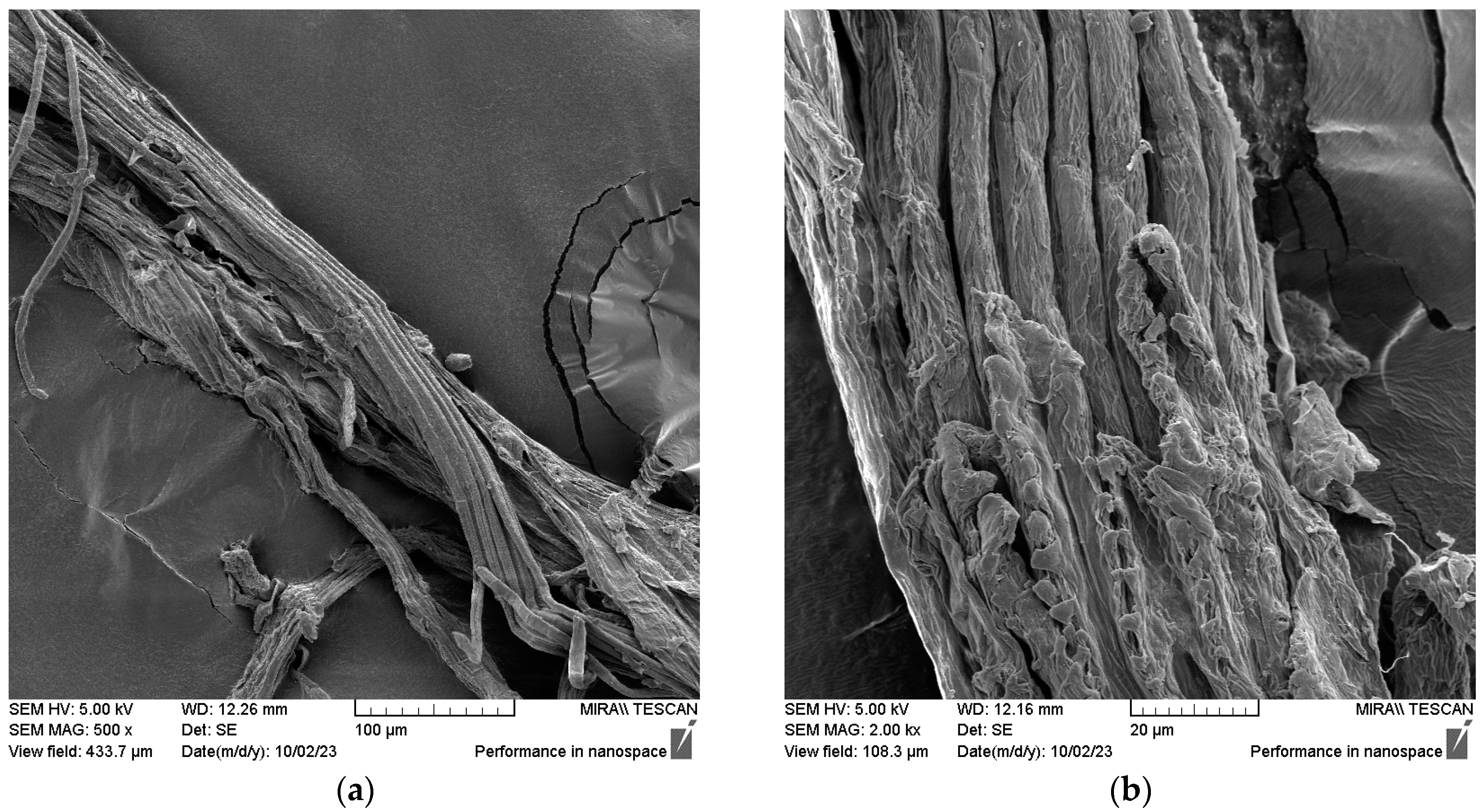 Fibers 11 00108 g009