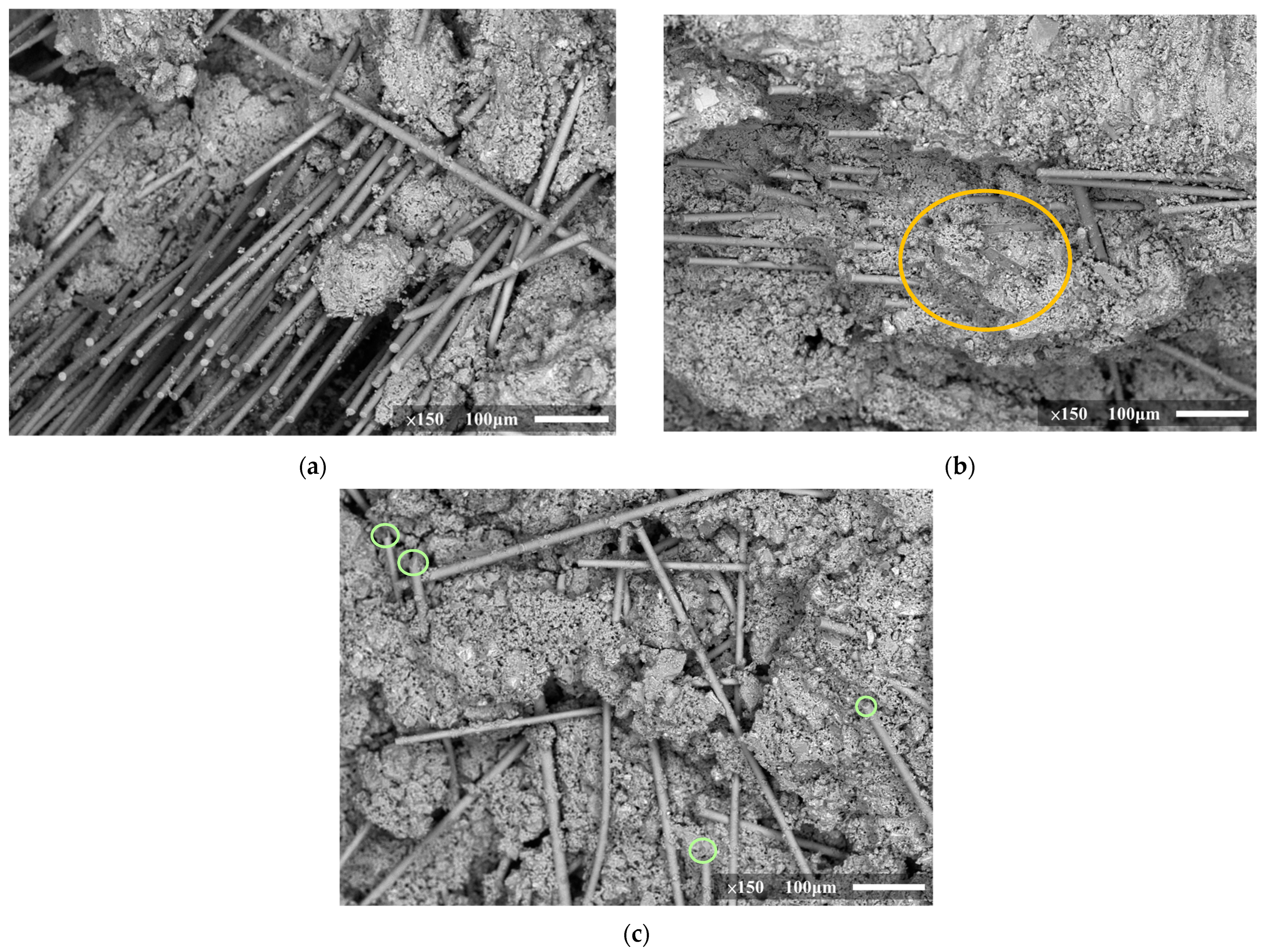Fibers 12 00010 g008