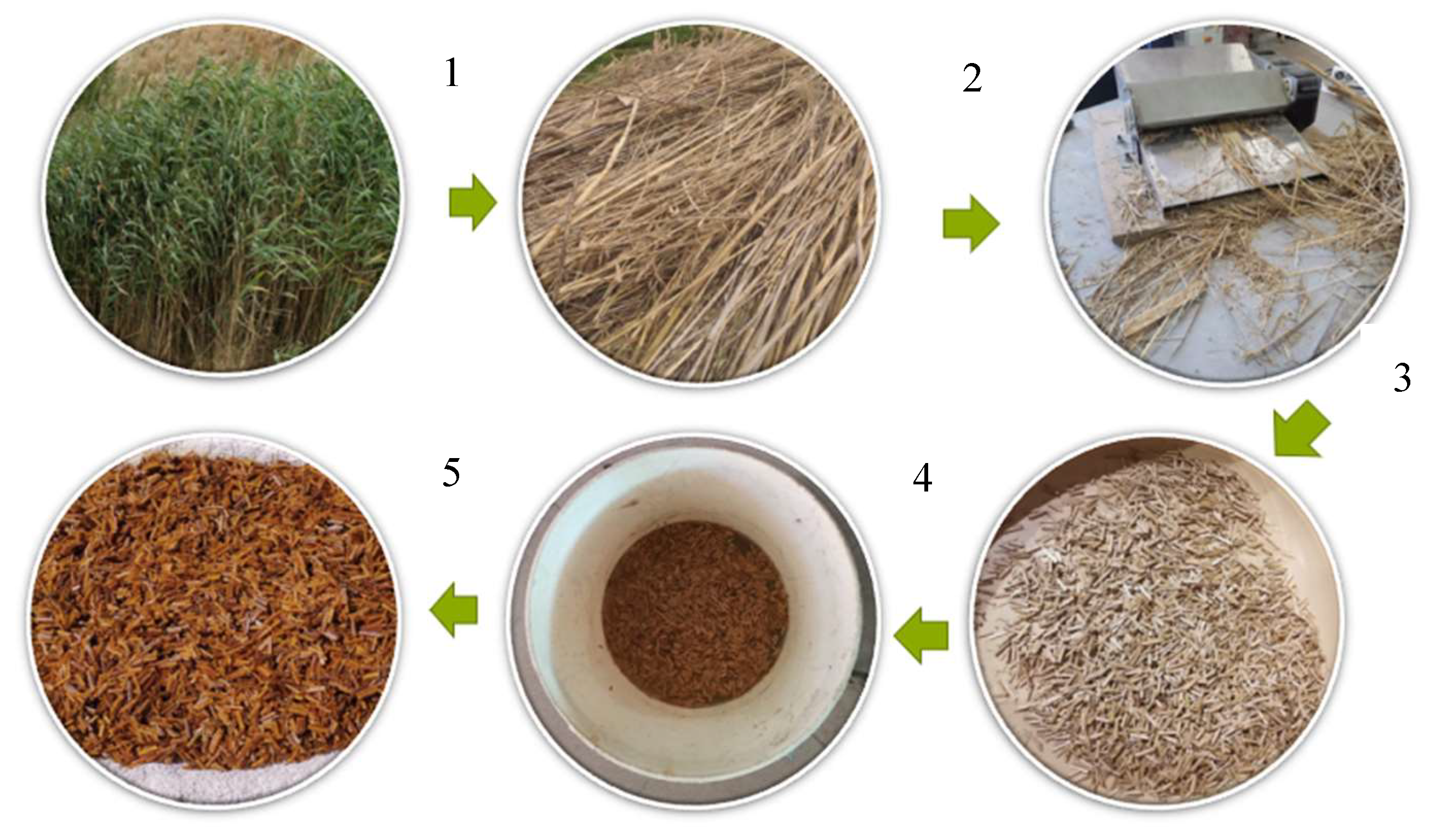 Fibers 12 00014 g001