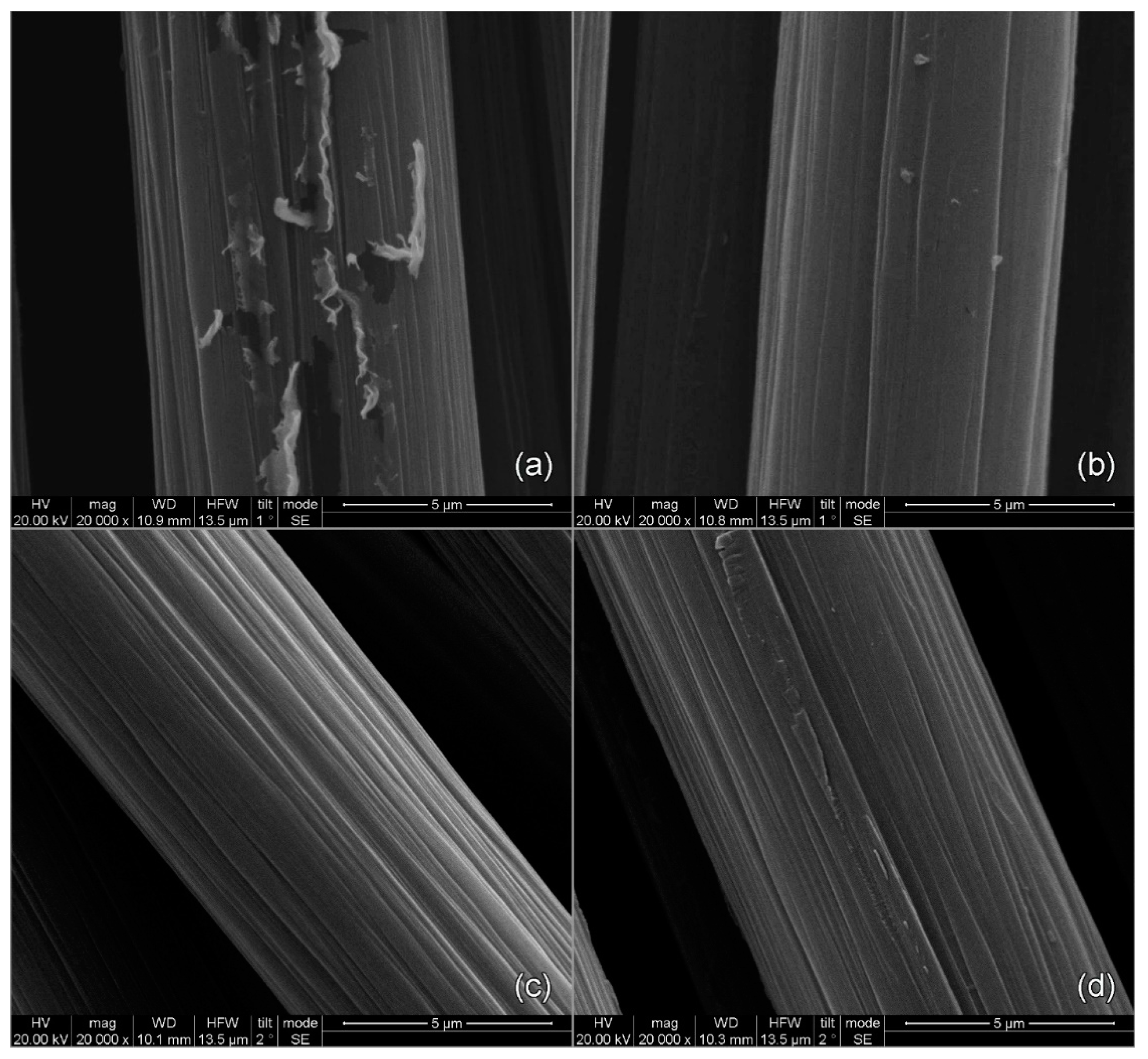 Fibers 12 00016 g005
