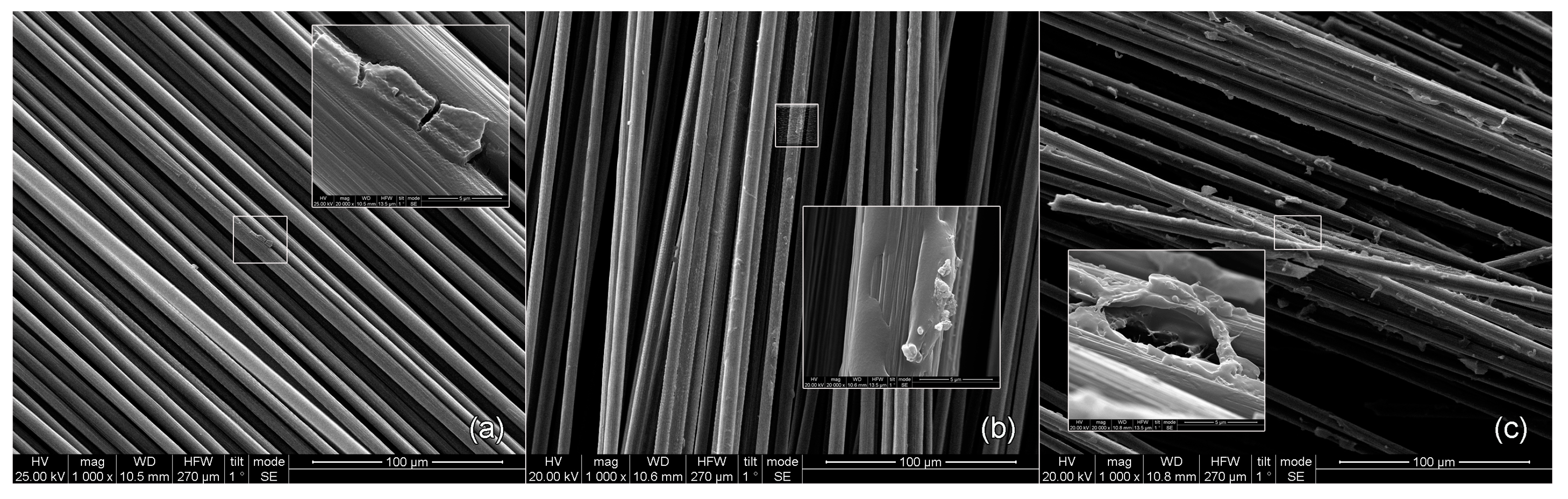 Fibers 12 00016 g007