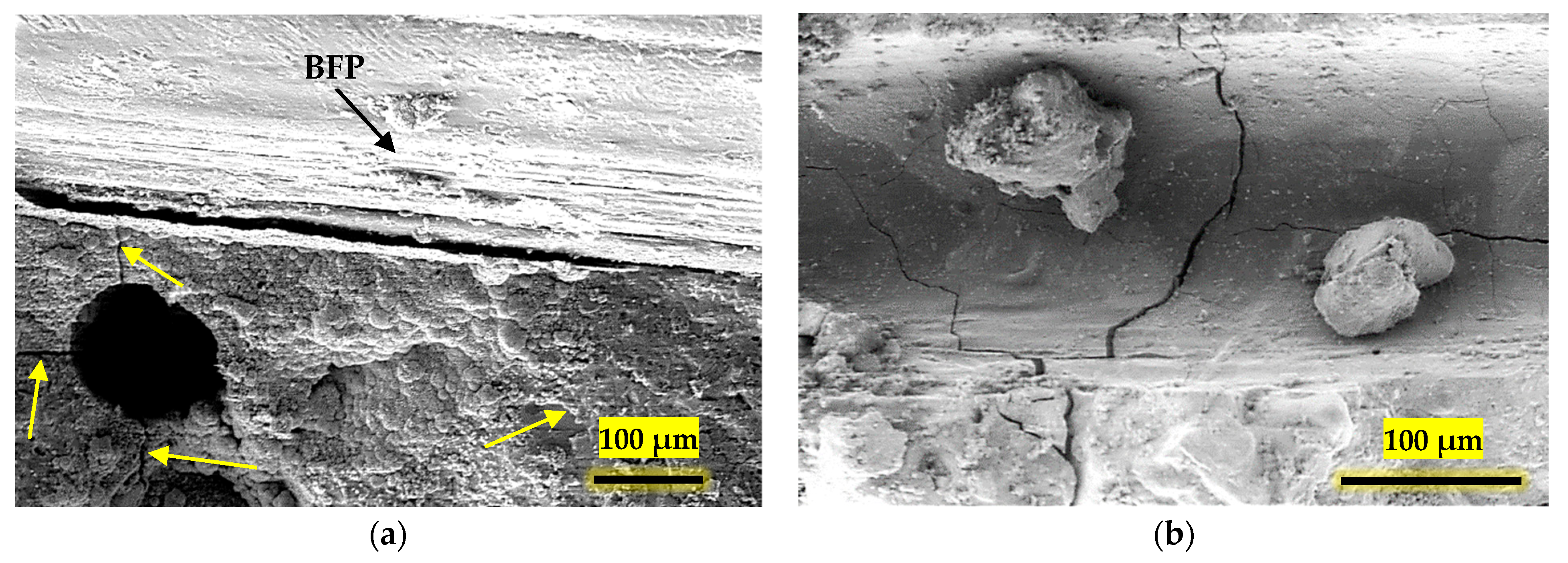 Fibers 12 00017 g012