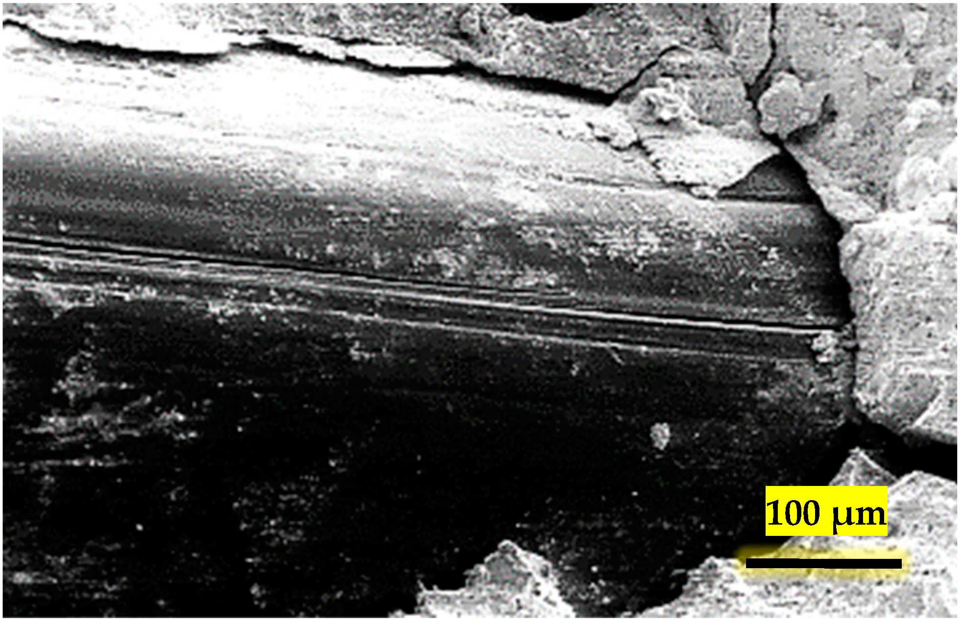 Fibers 12 00017 g013