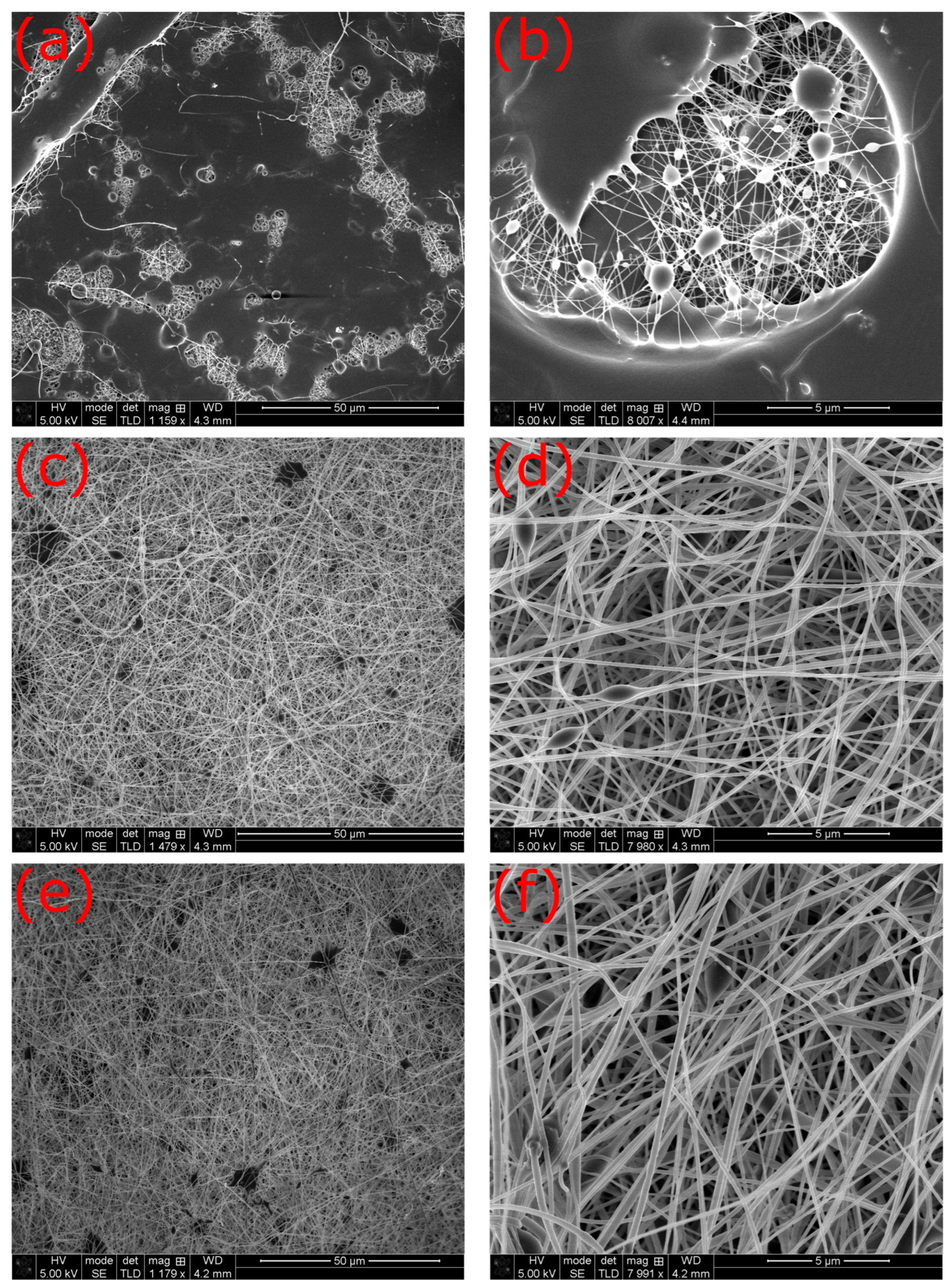 Fibers 12 00019 g002a