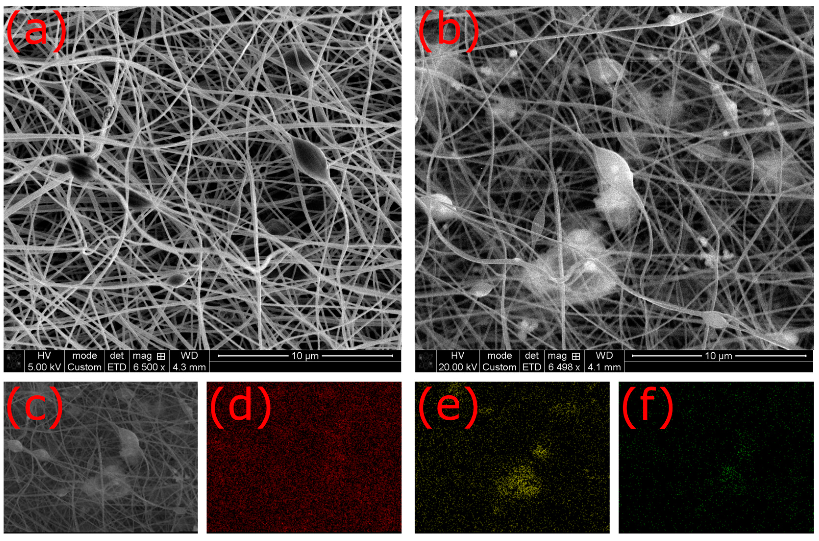 Fibers 12 00019 g007