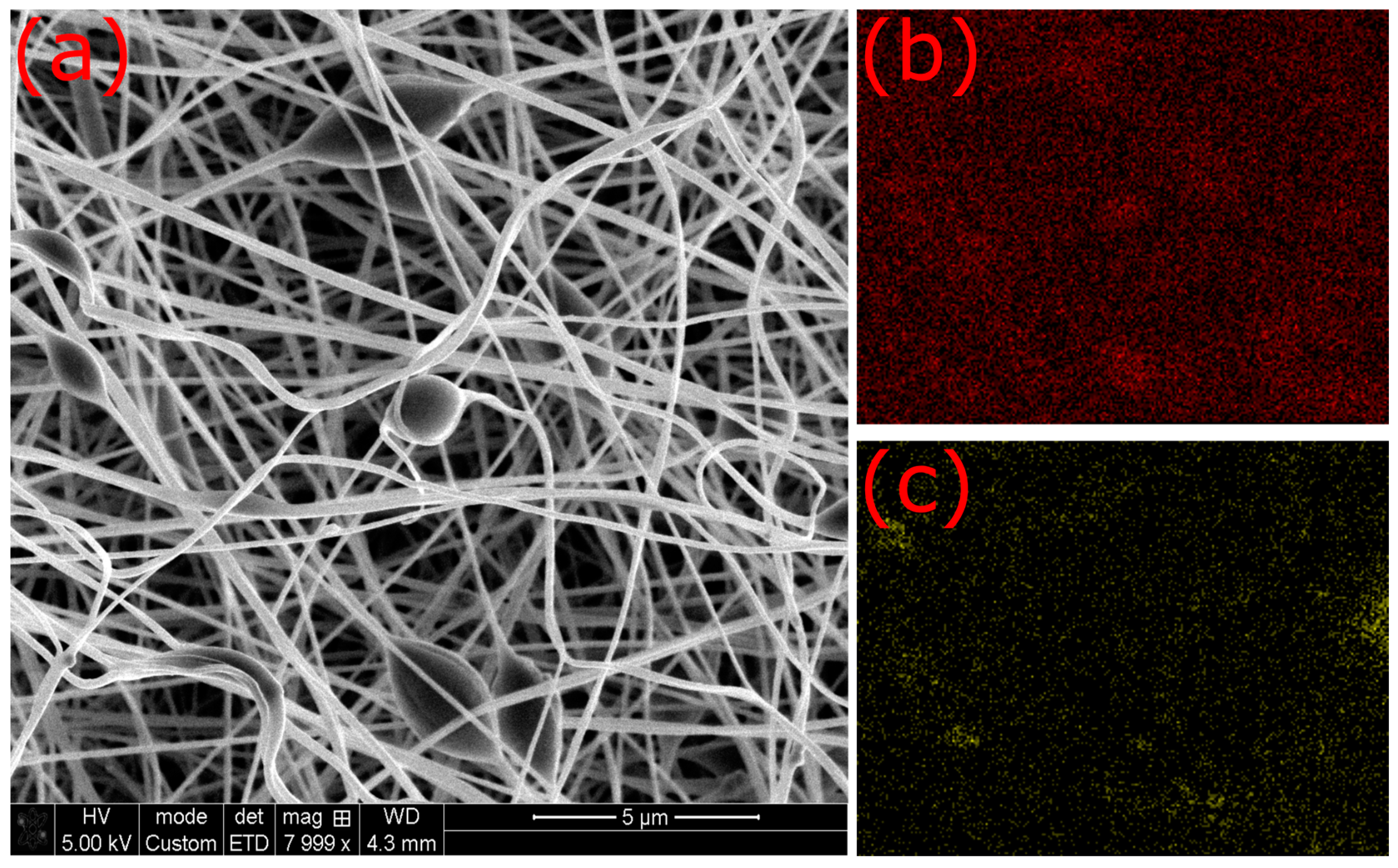 Fibers 12 00019 g008