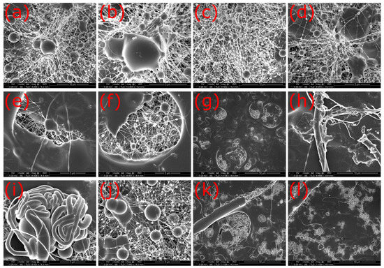 Fibers 12 00019 g0a1