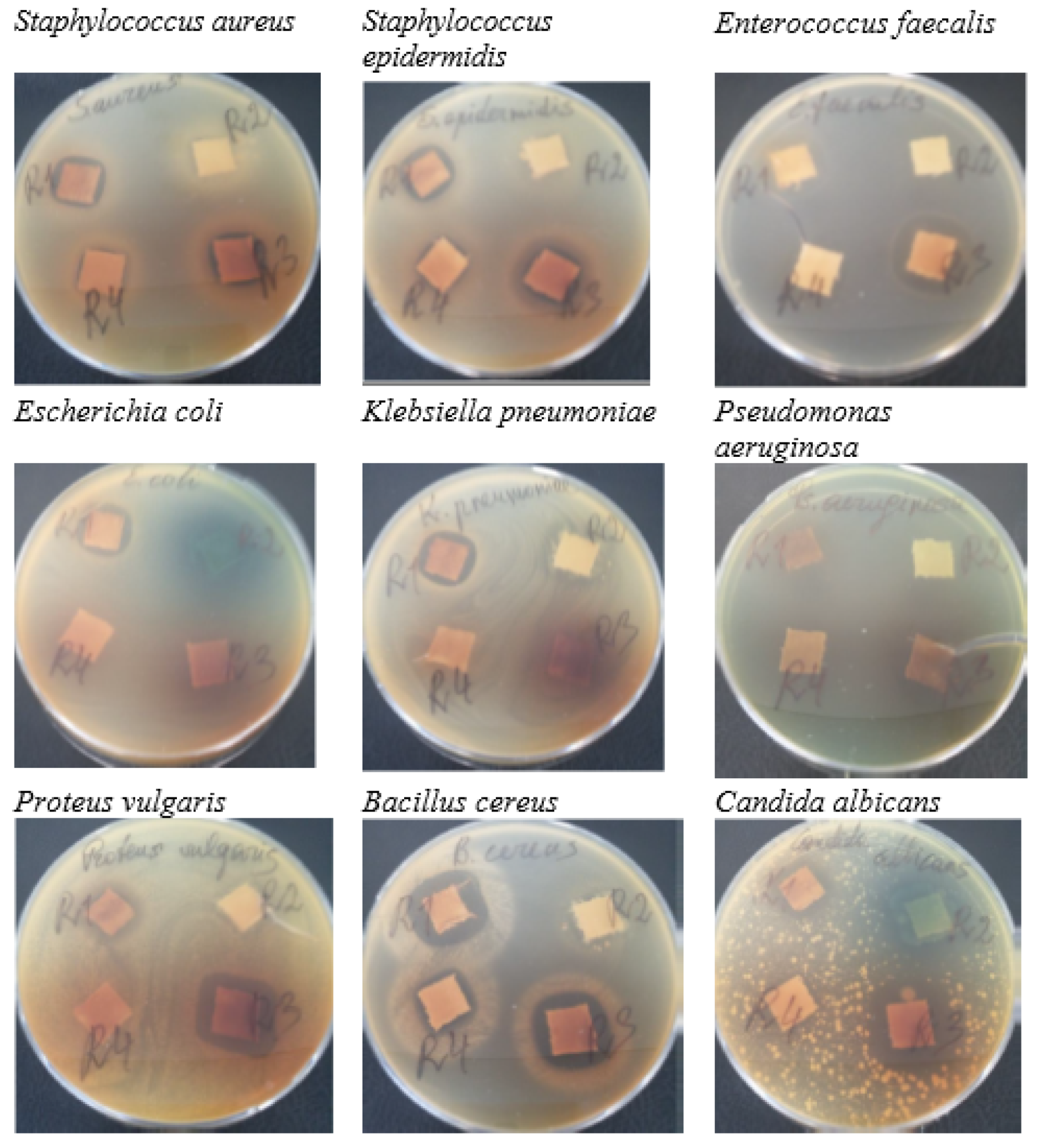Fibers 12 00020 g004