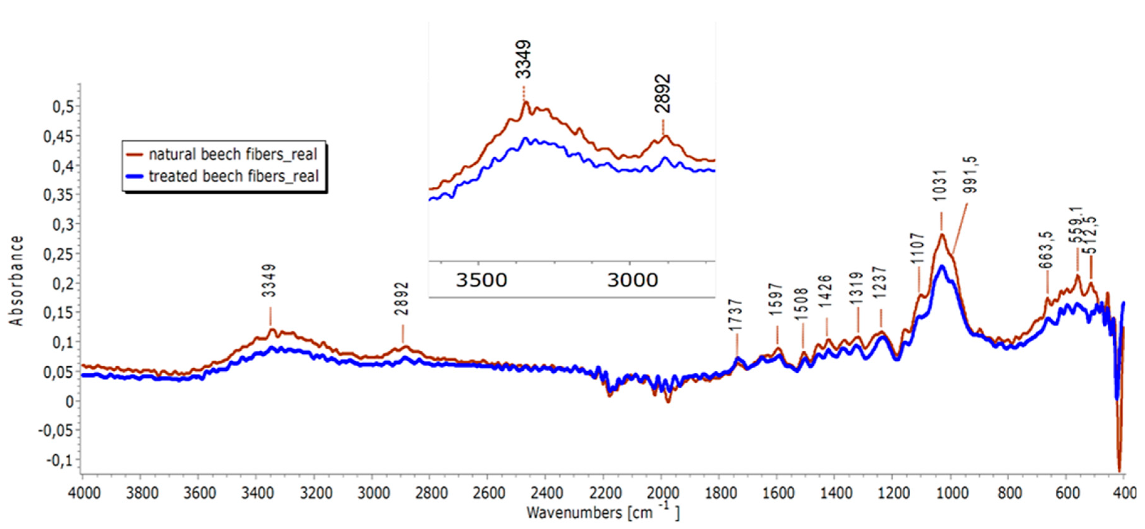 Fibers 12 00021 g002
