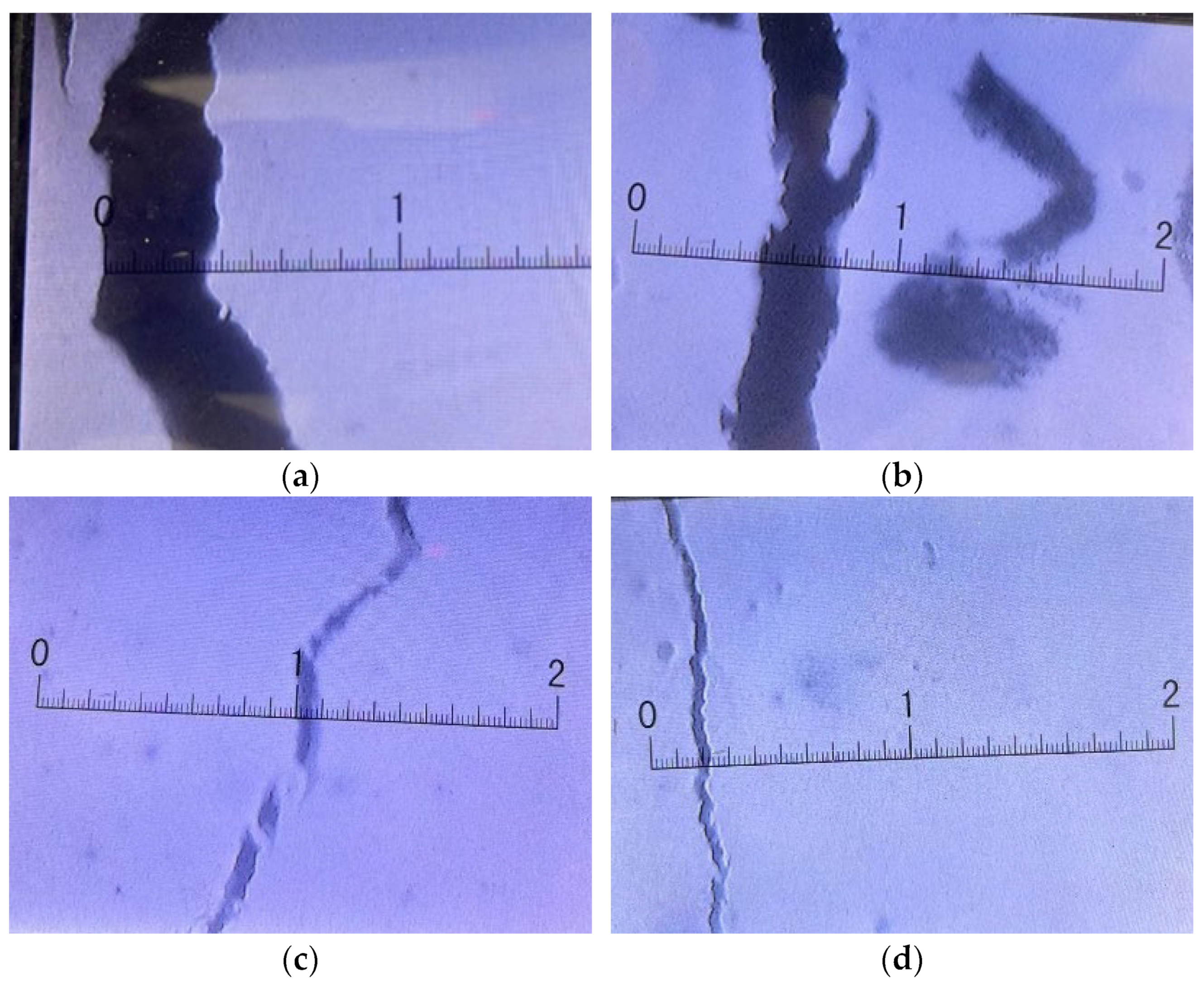 Fibers 12 00023 g010
