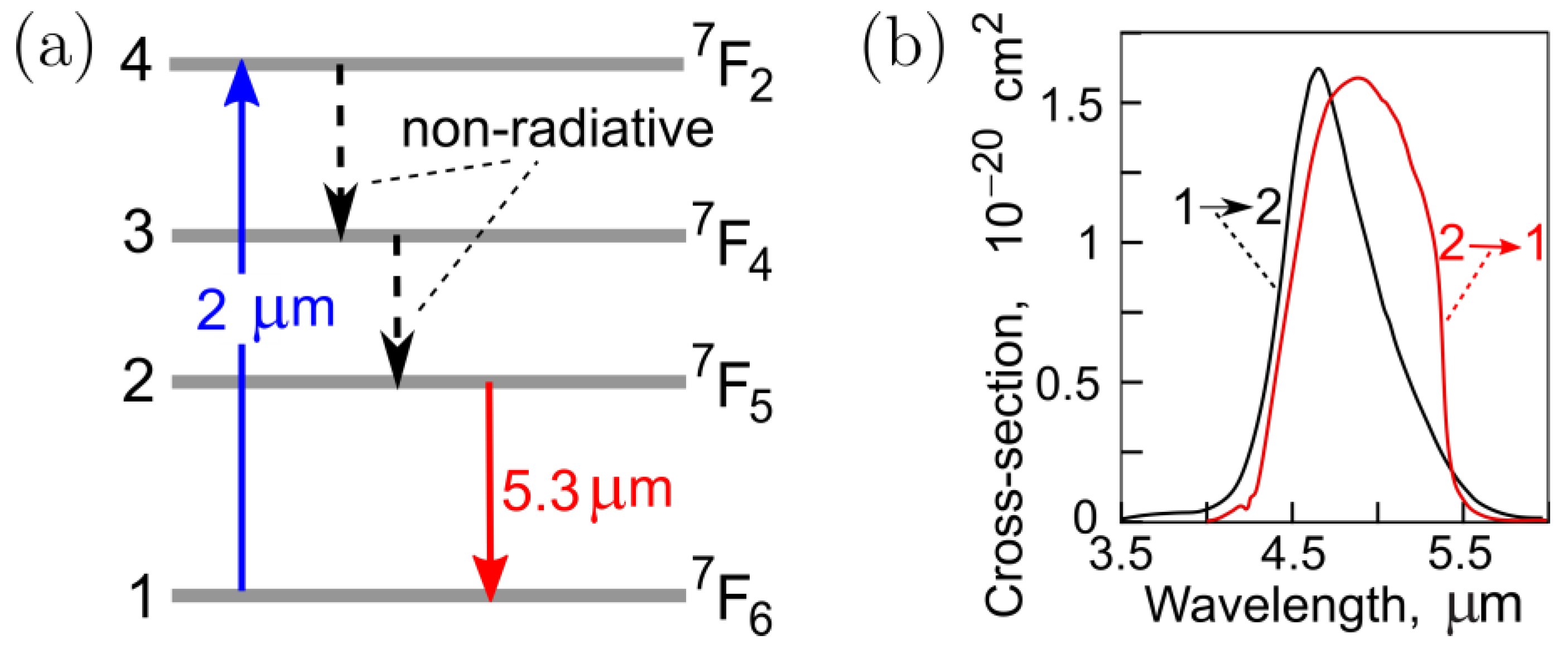 Fibers 12 00025 g001
