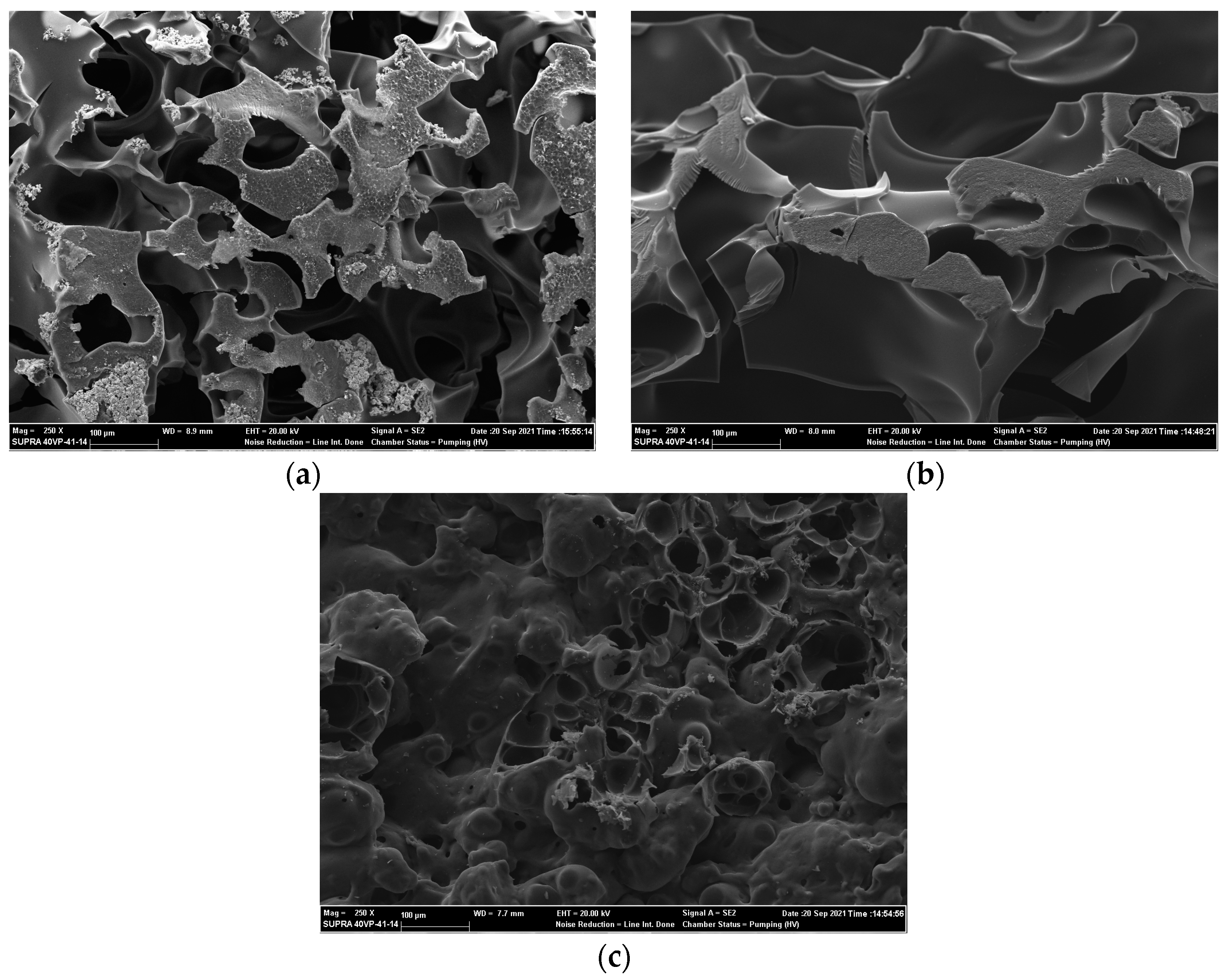 Fibers 12 00027 g004