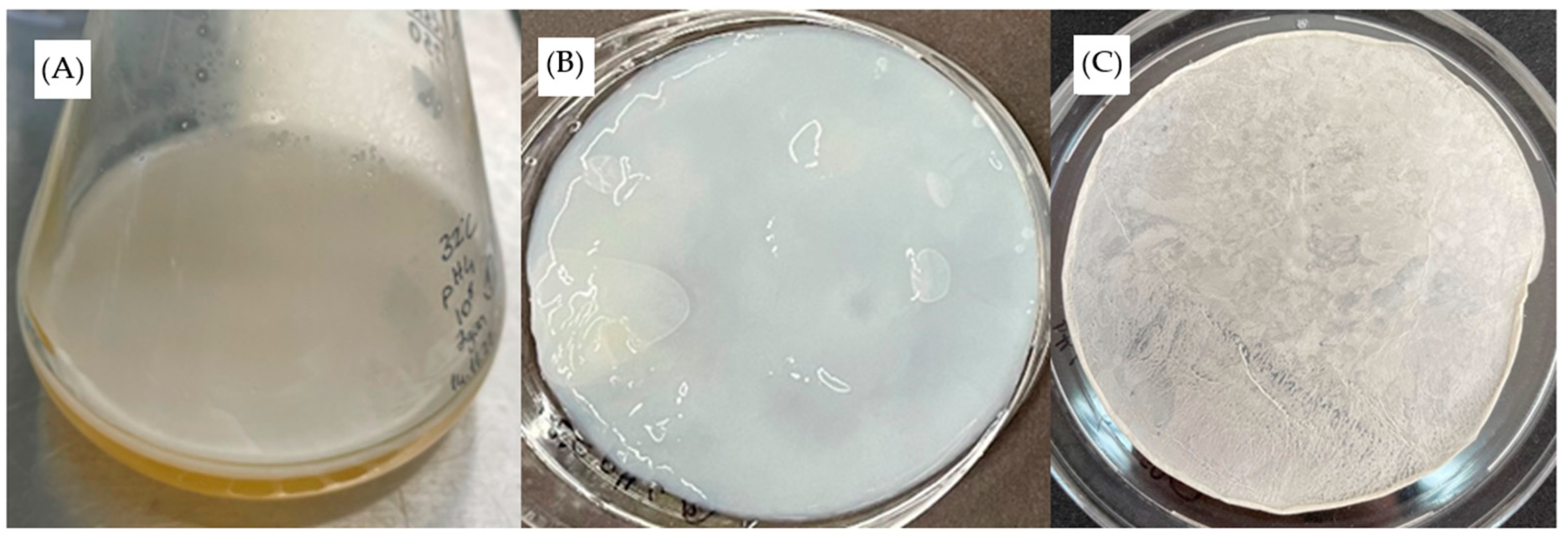 Fibers 12 00029 g001