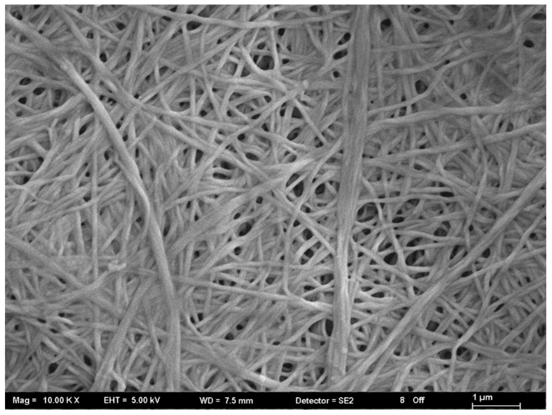 Fibers 12 00029 g002