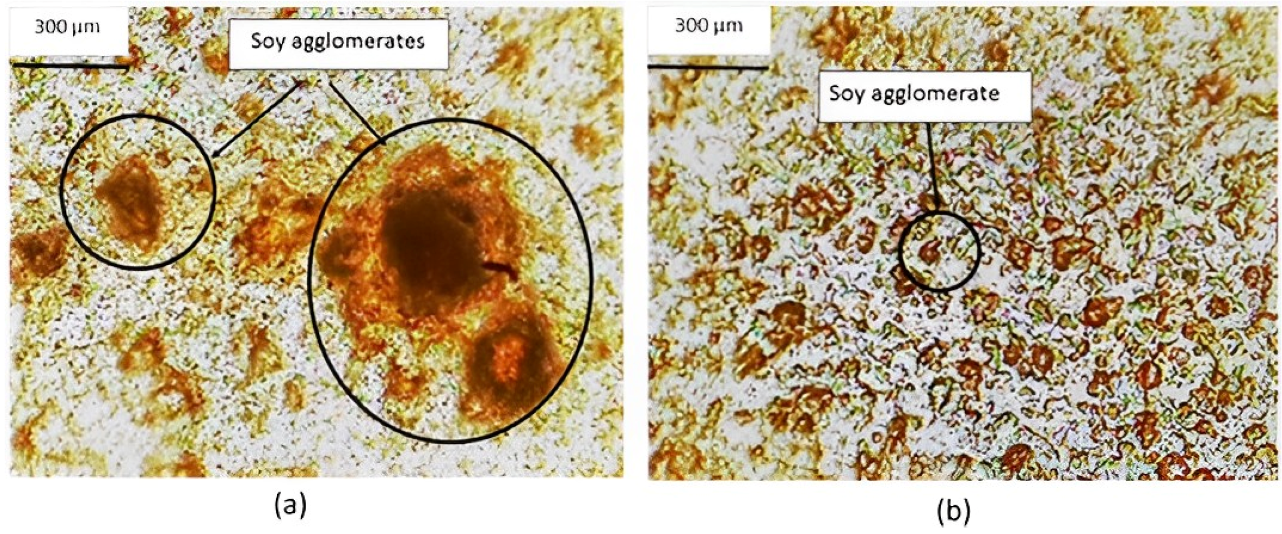 Fibers 12 00031 g001