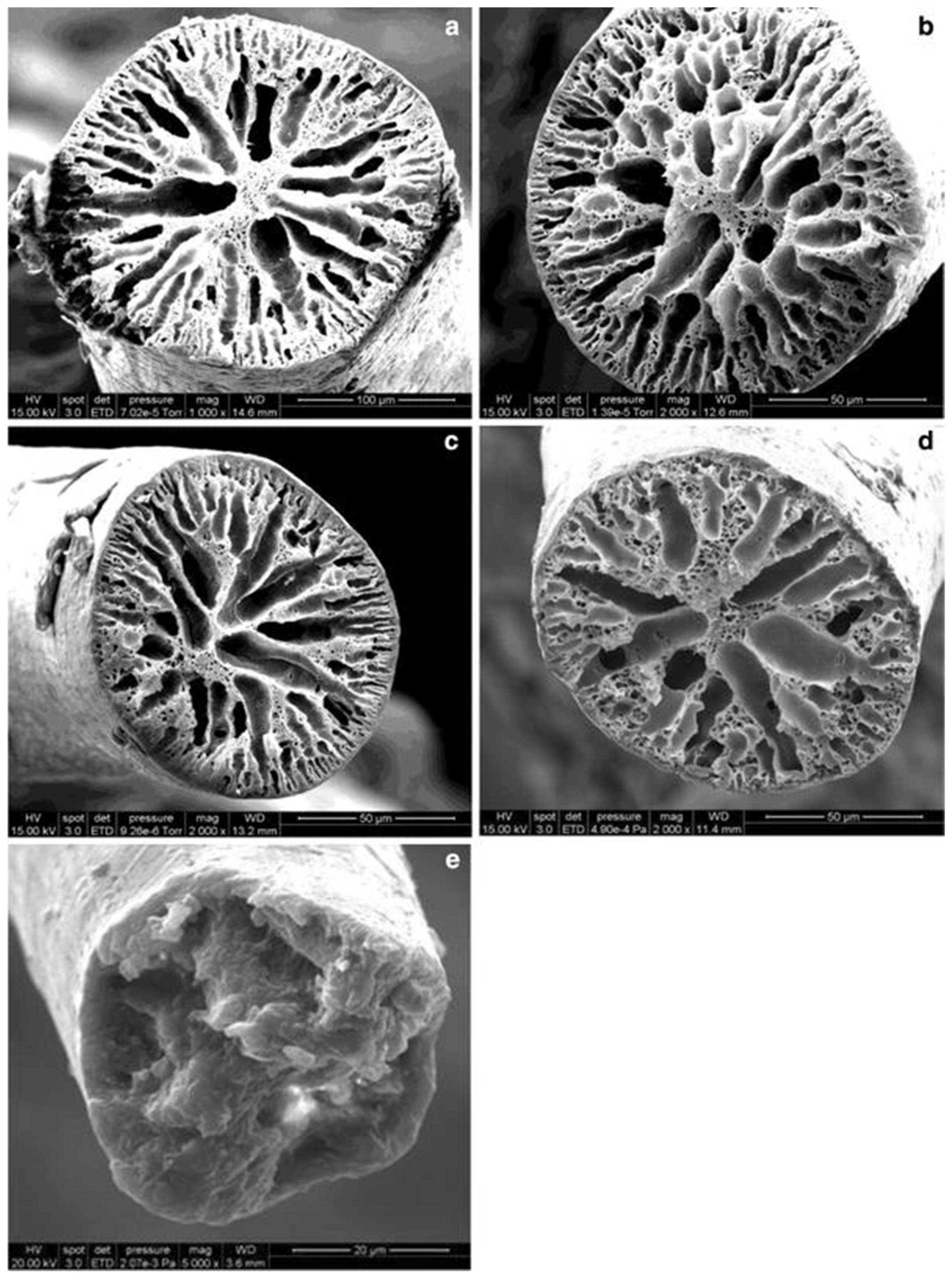Fibers 12 00031 g003