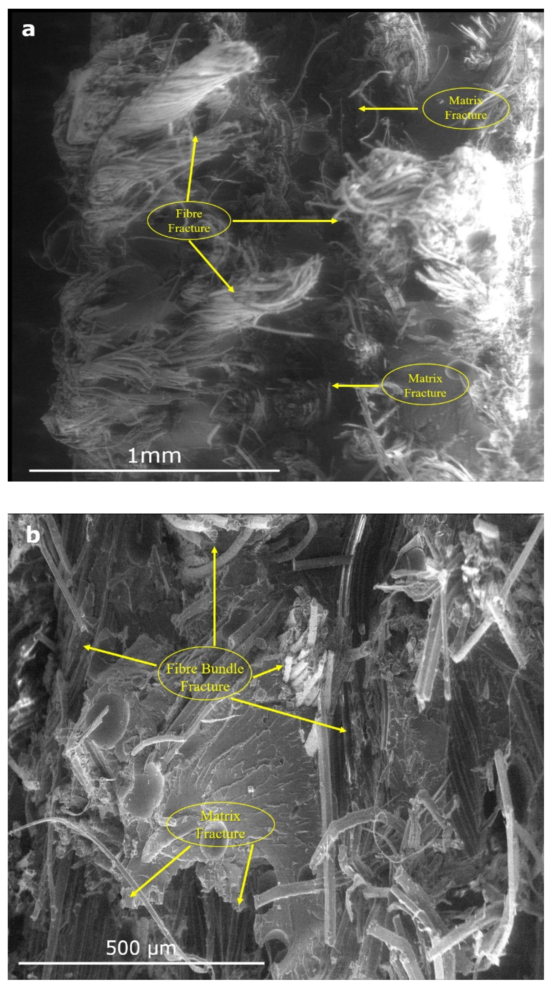 Fibers 12 00034 g010a