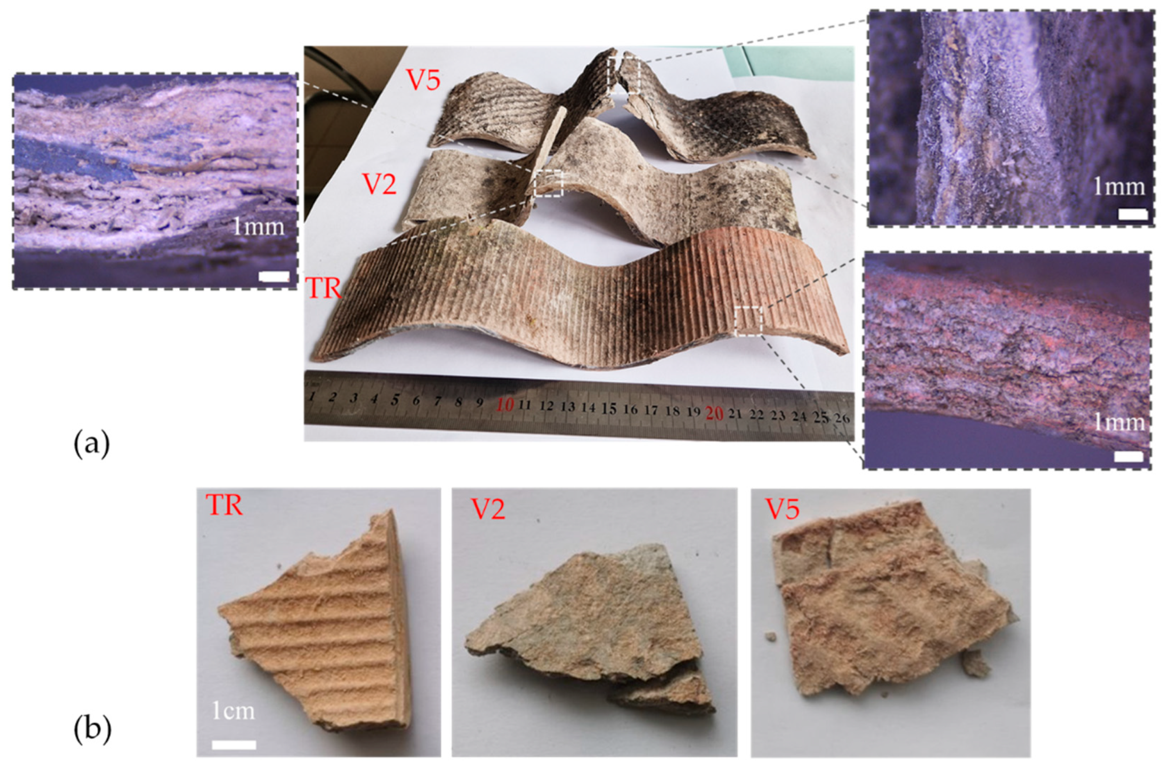 Fibers 12 00037 g001