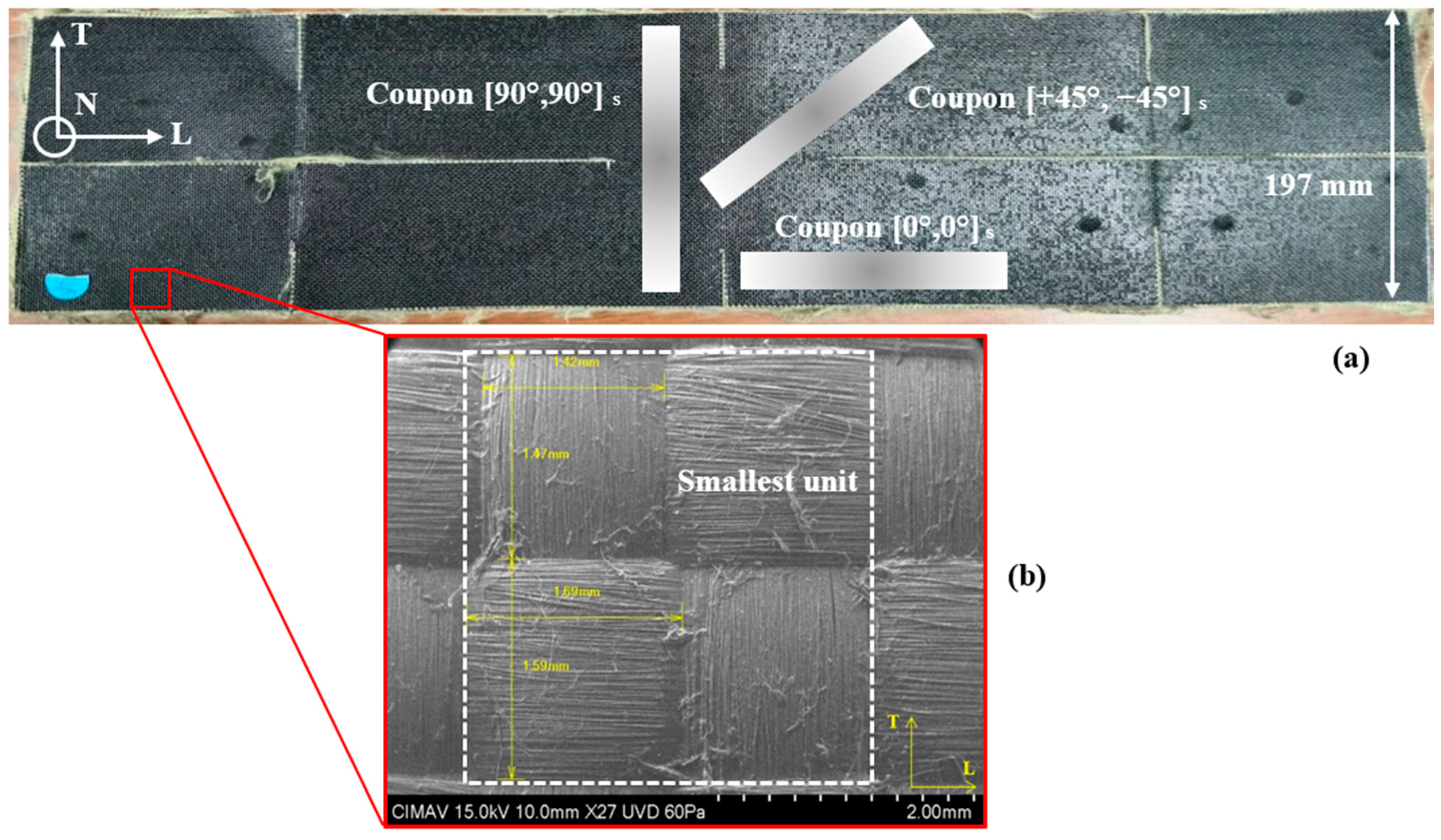Fibers 12 00038 g002