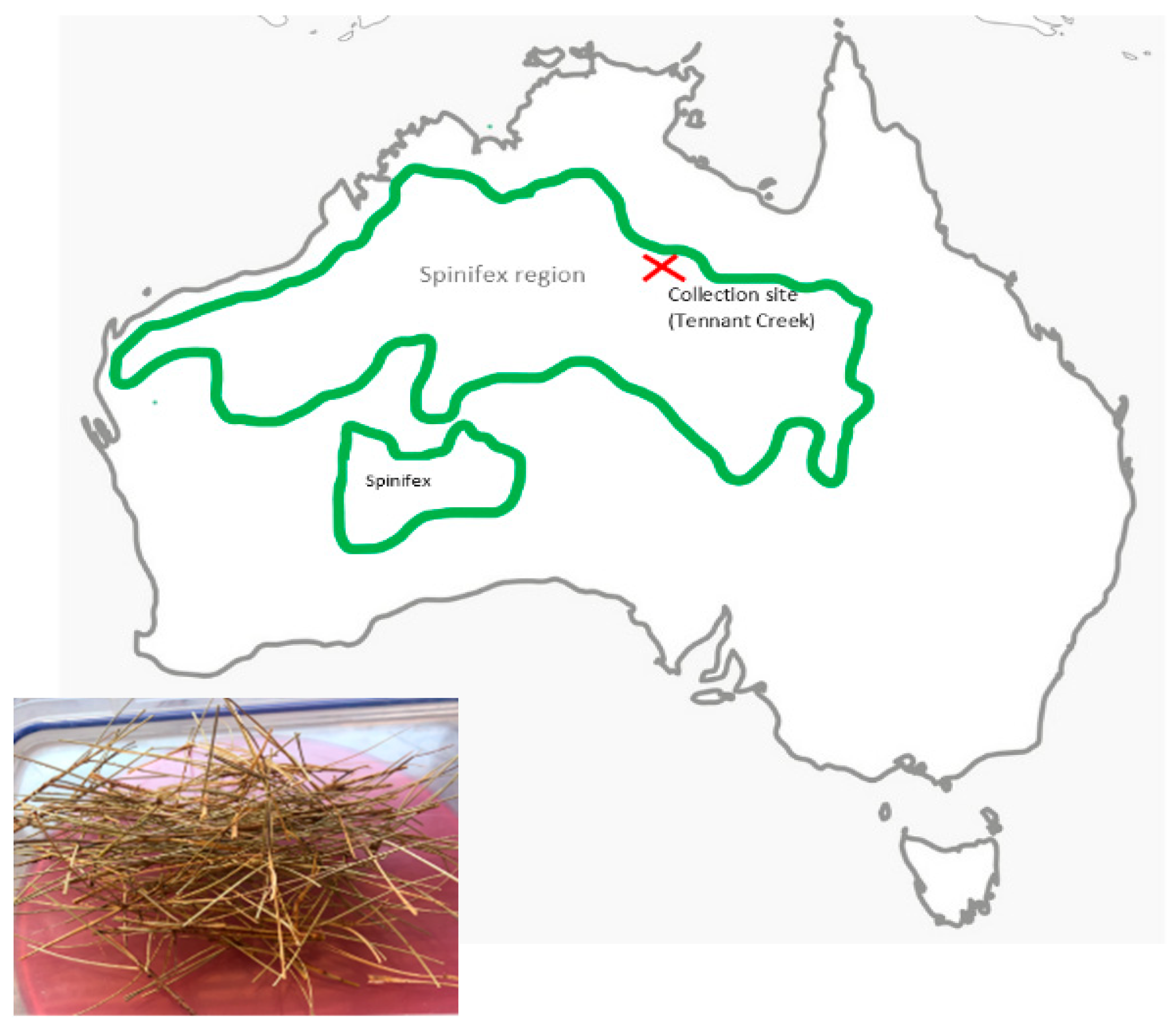 Fibers 12 00039 g001