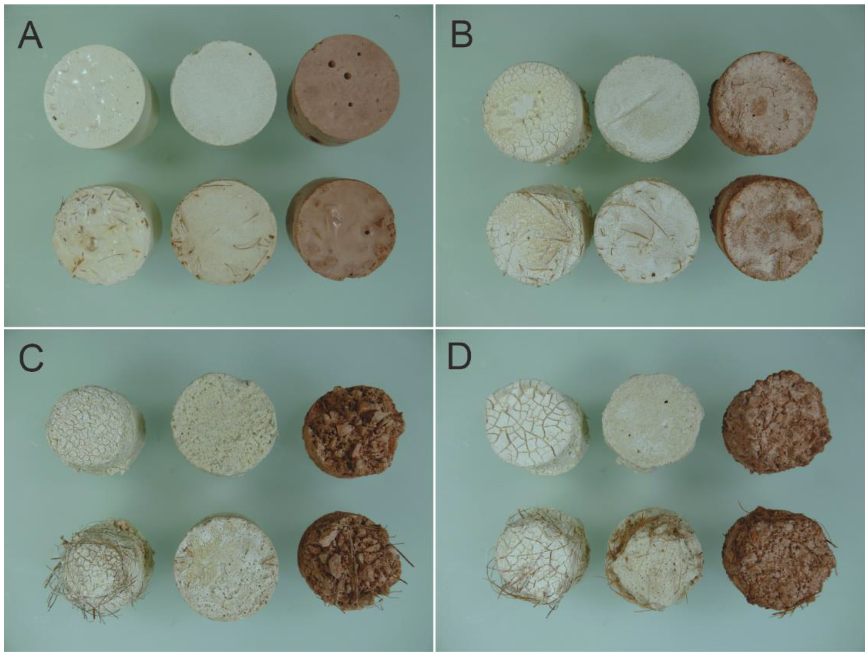 Fibers 12 00040 g005