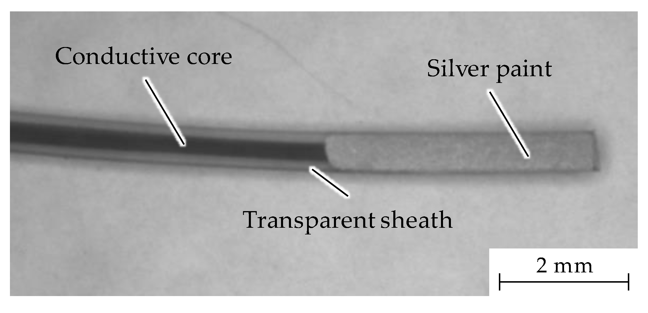Fibers 12 00041 g003