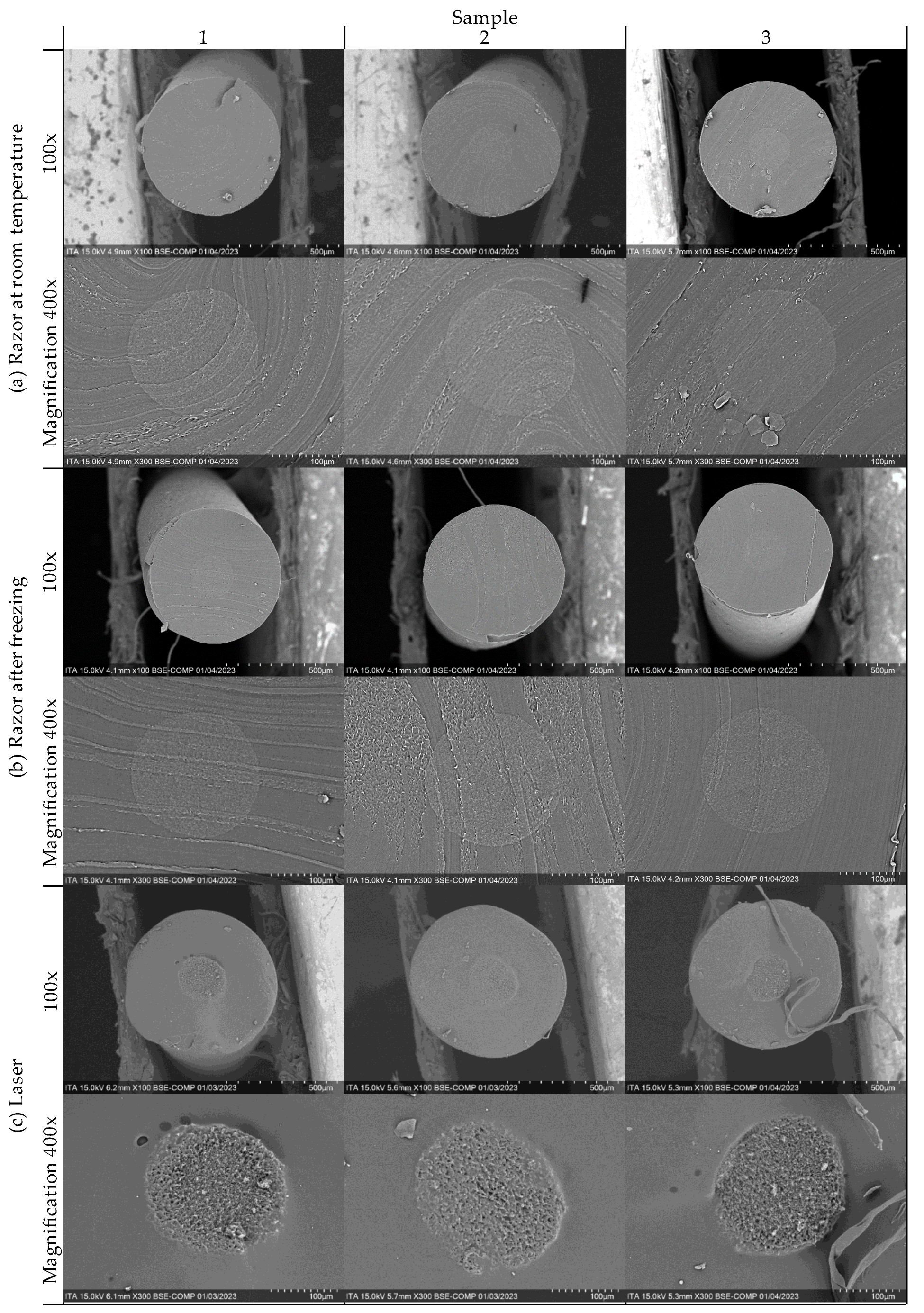 Fibers 12 00041 g004