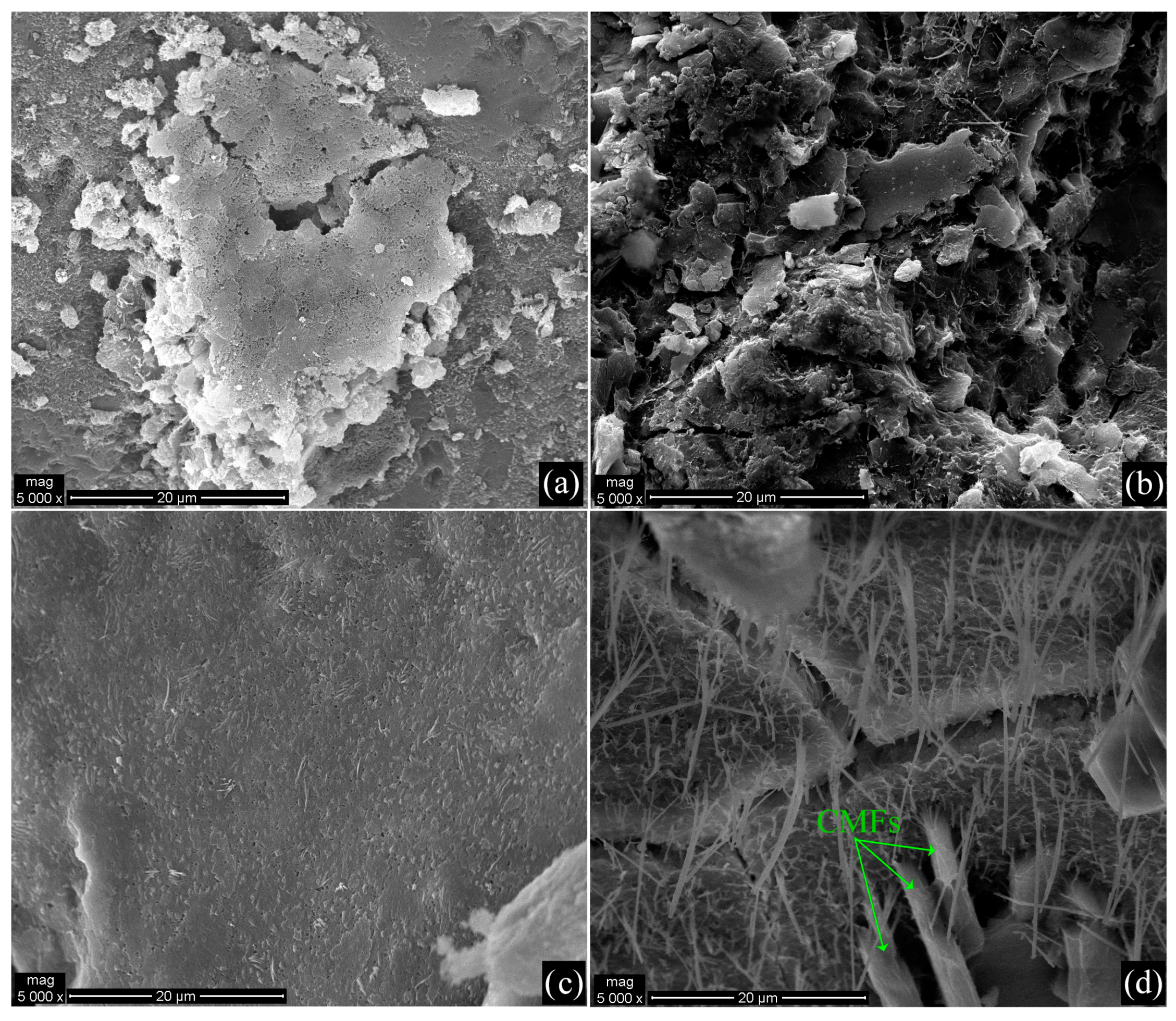 Fibers 12 00062 g008