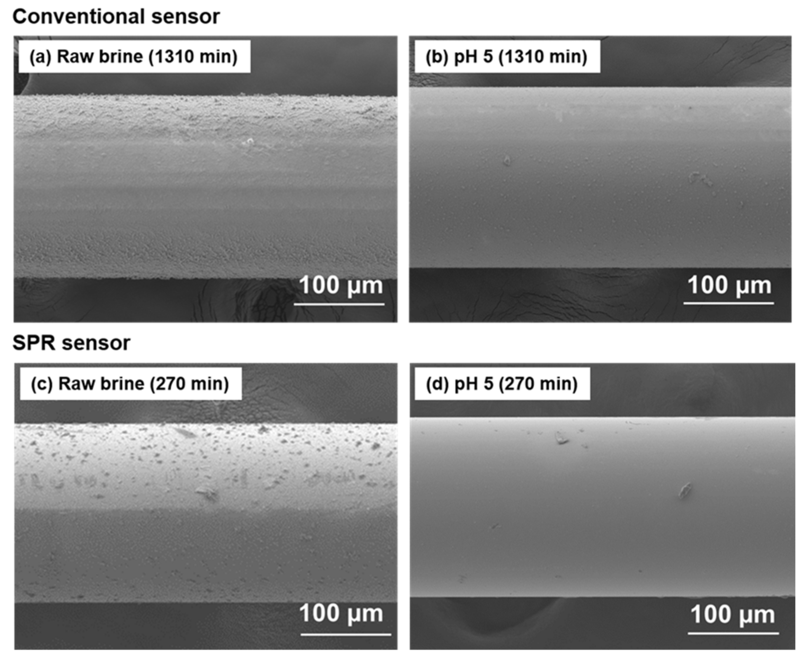Fibers 12 00074 g007