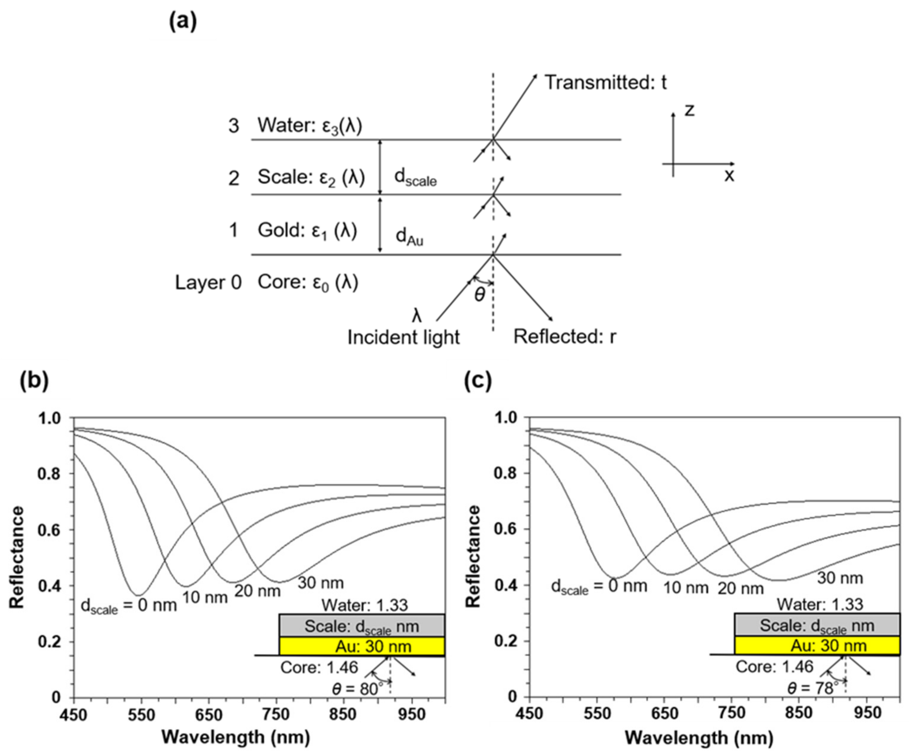 Fibers 12 00074 g008