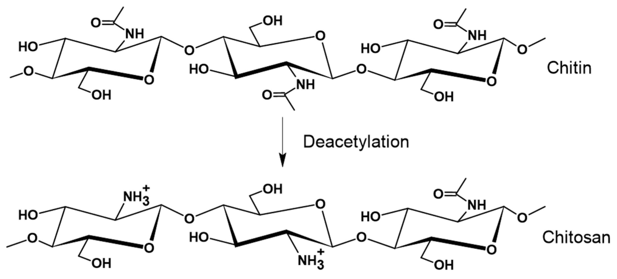 Fibers 12 00075 g008