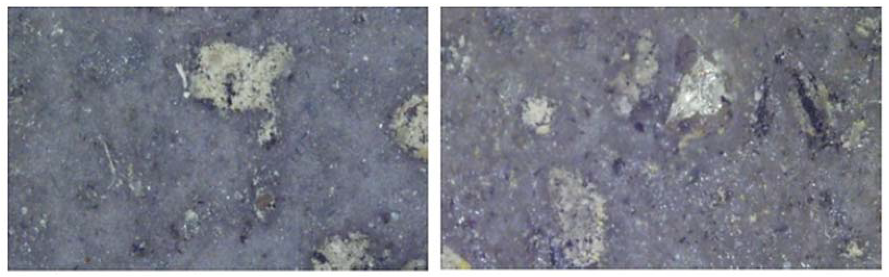 Fibers 12 00076 g015