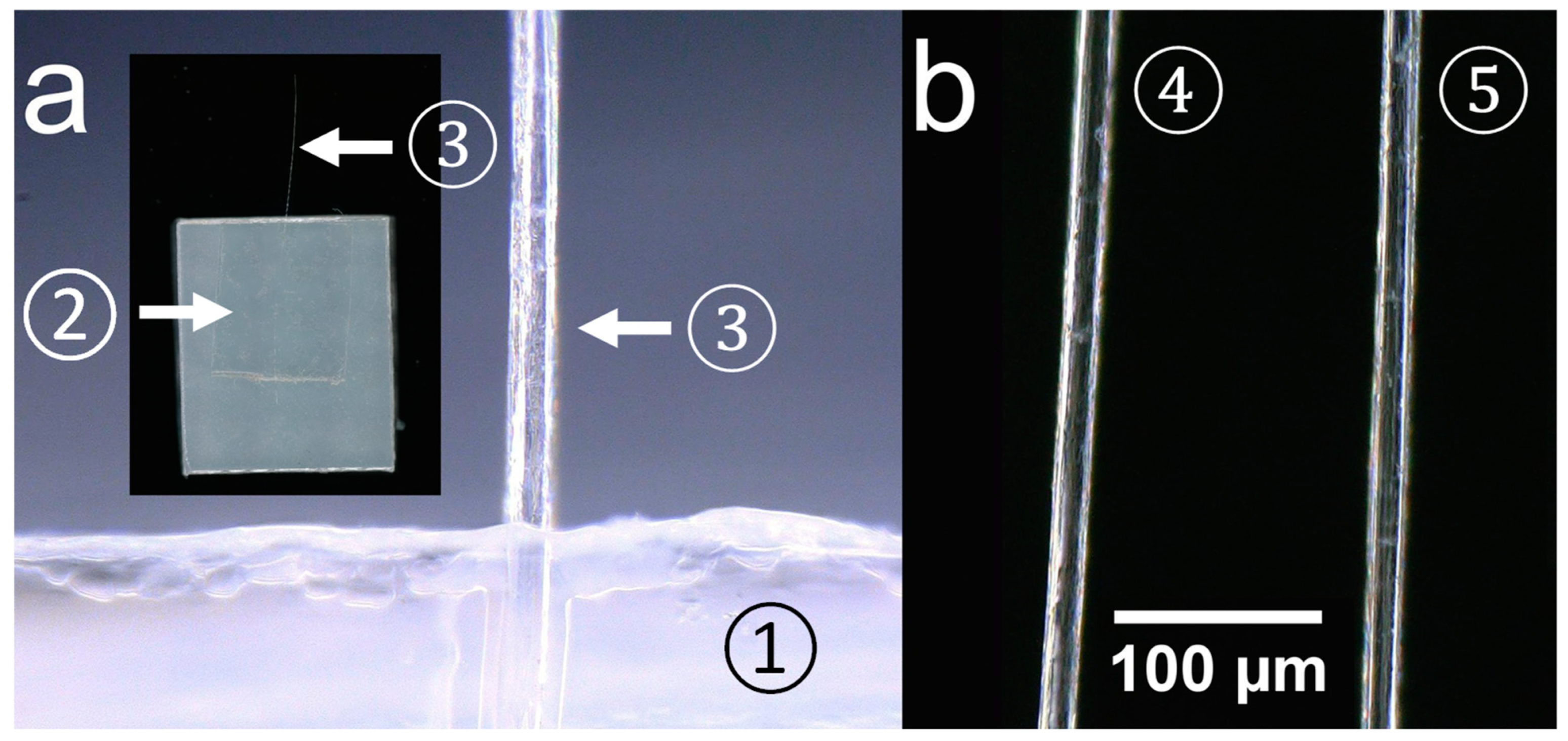 Fibers 12 00091 g001
