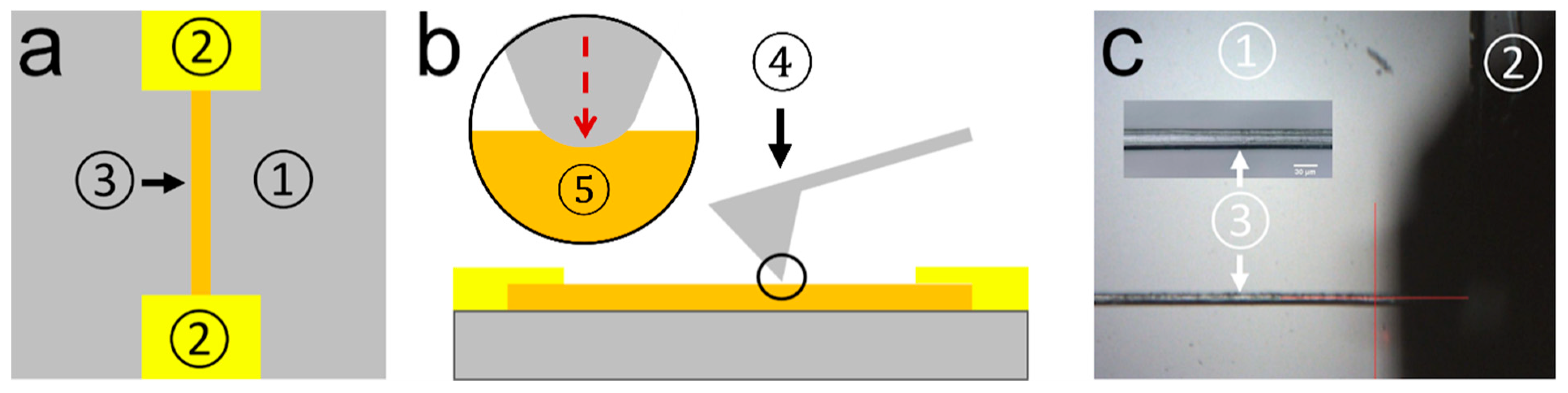 Fibers 12 00091 g003