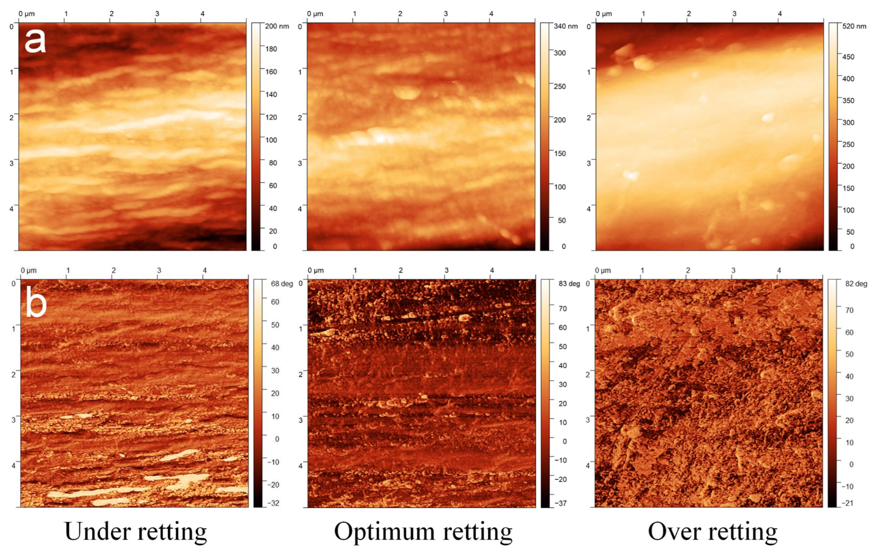 Fibers 12 00091 g007
