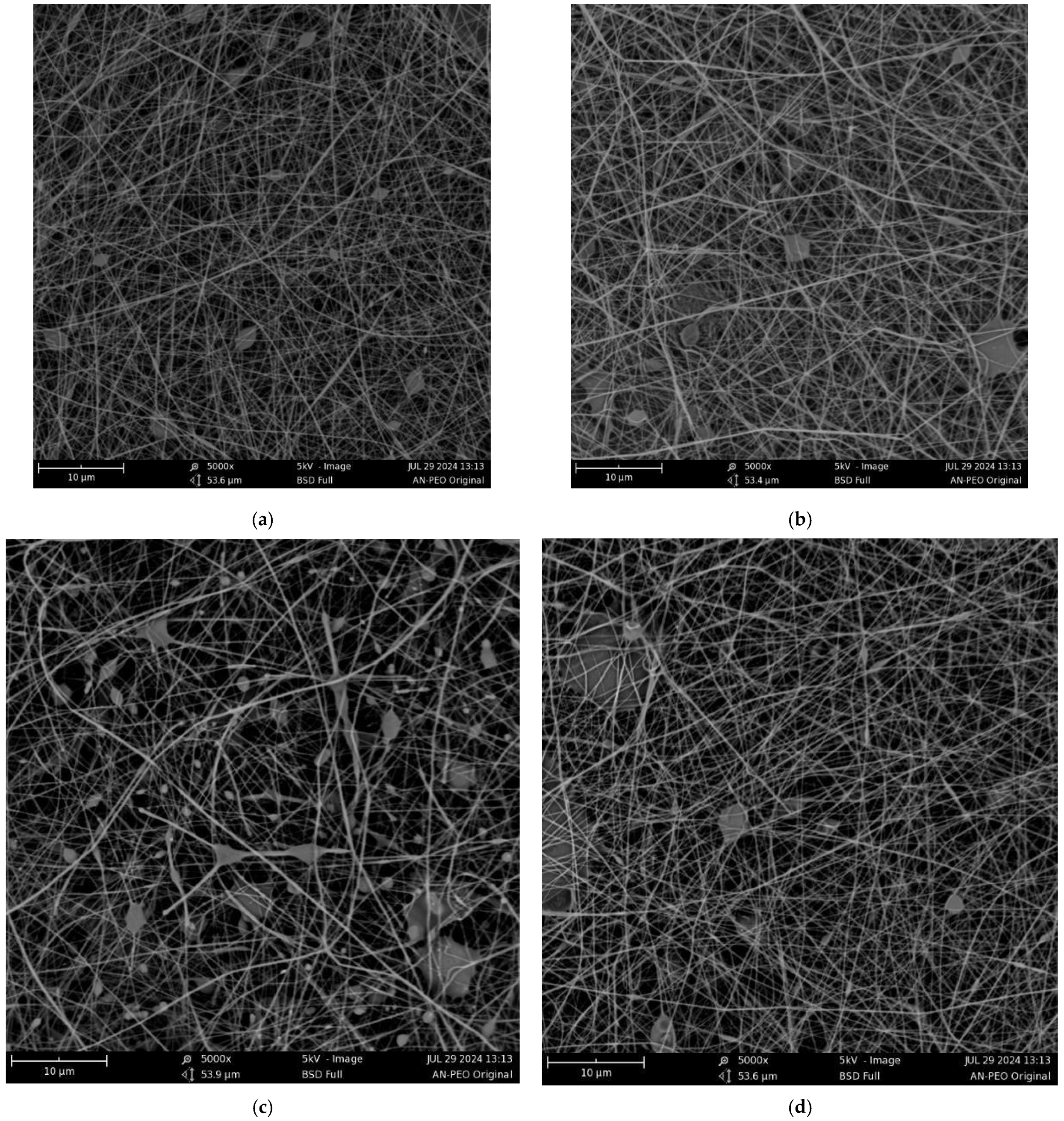 Fibers 12 00097 g002