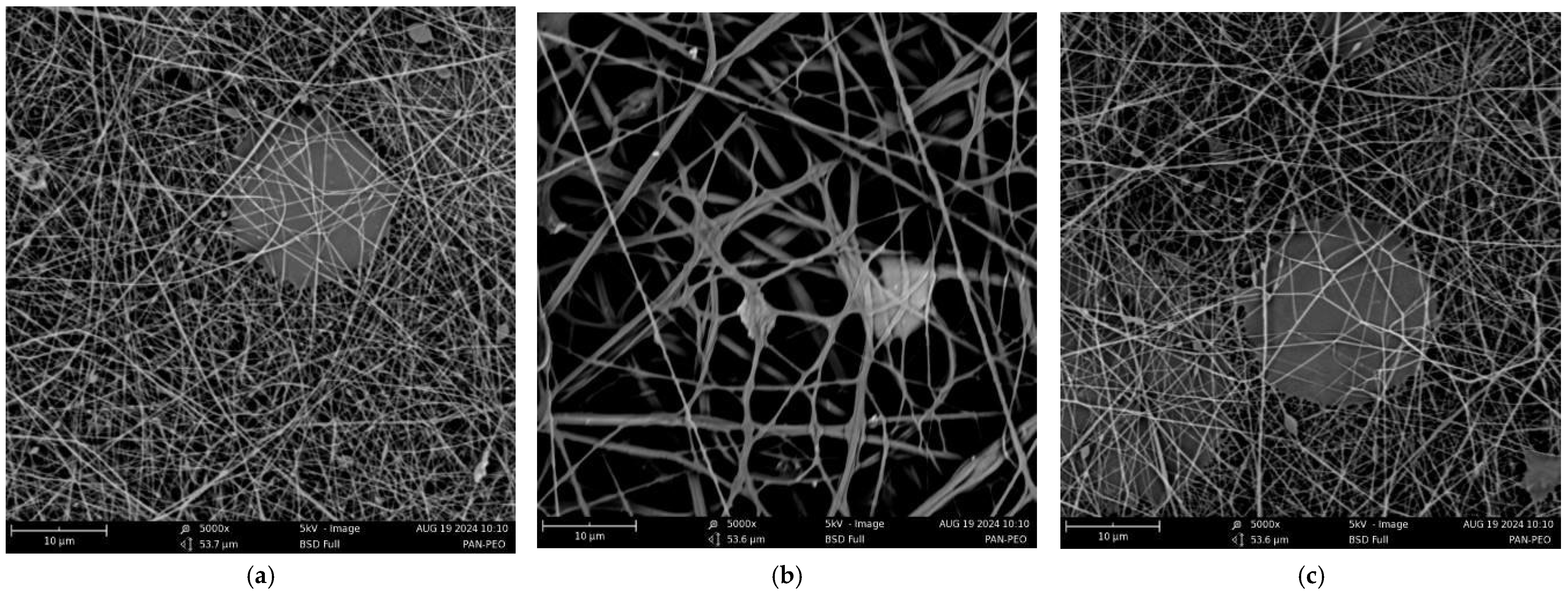 Fibers 12 00097 g003