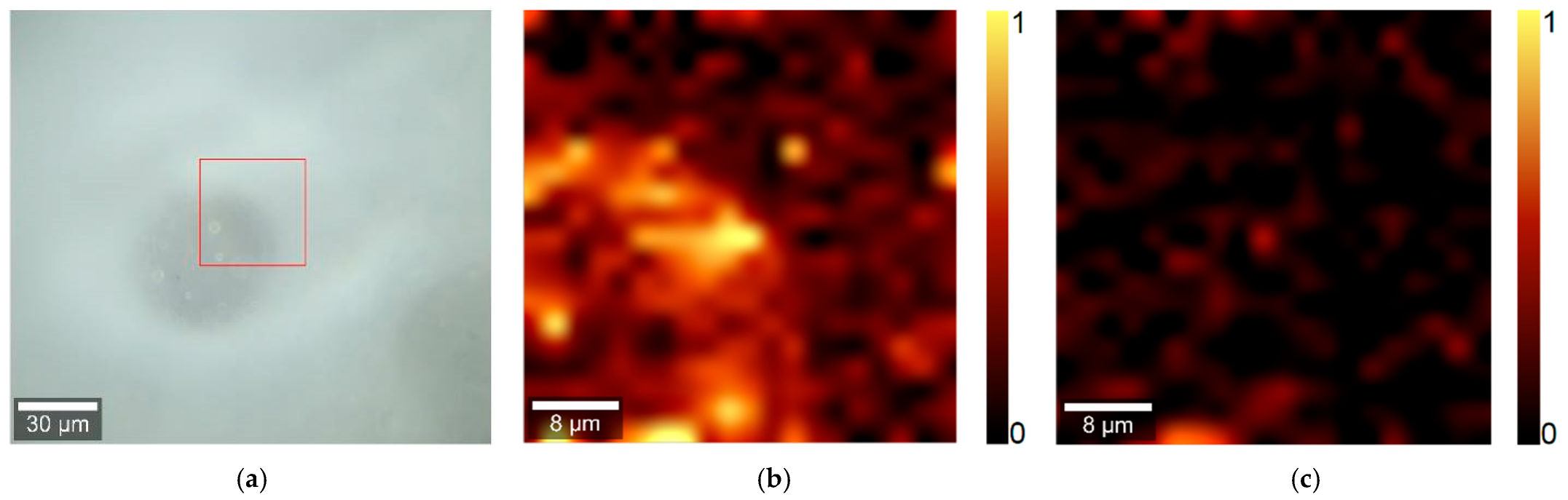 Fibers 12 00097 g005