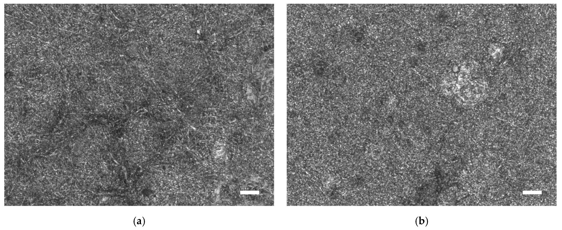 Fibers 12 00097 g006a